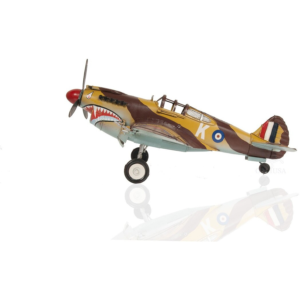 C1941 Curtiss Hawk 81A Large Sculpture