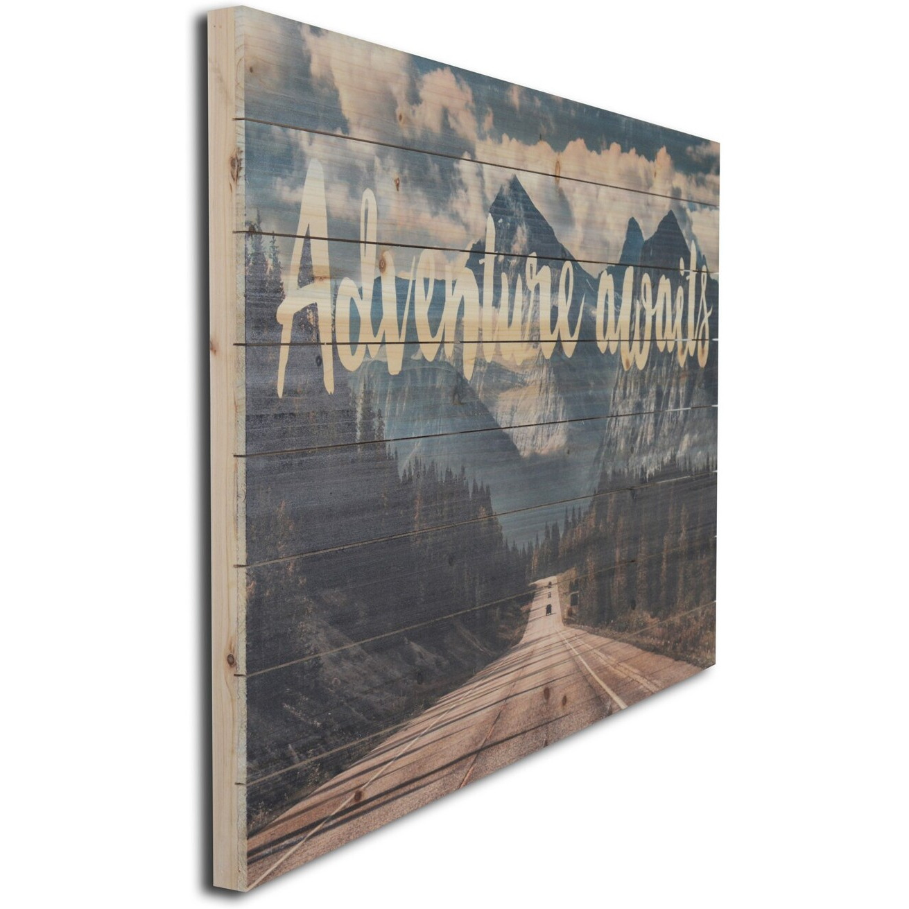 Adventure Awaits Wood Plank Wall Art