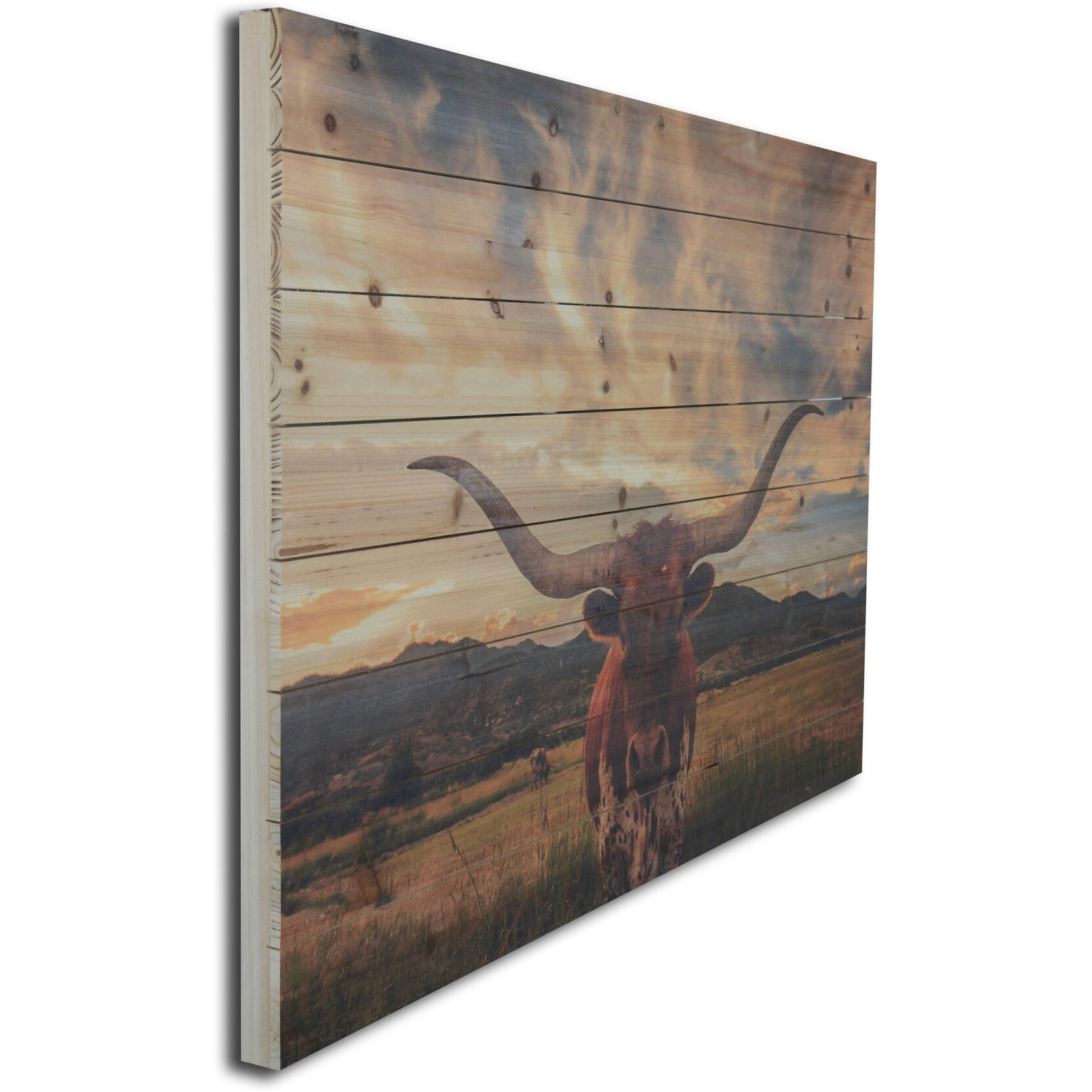 Longhorn Cow In Field Wood Plank Wall Art