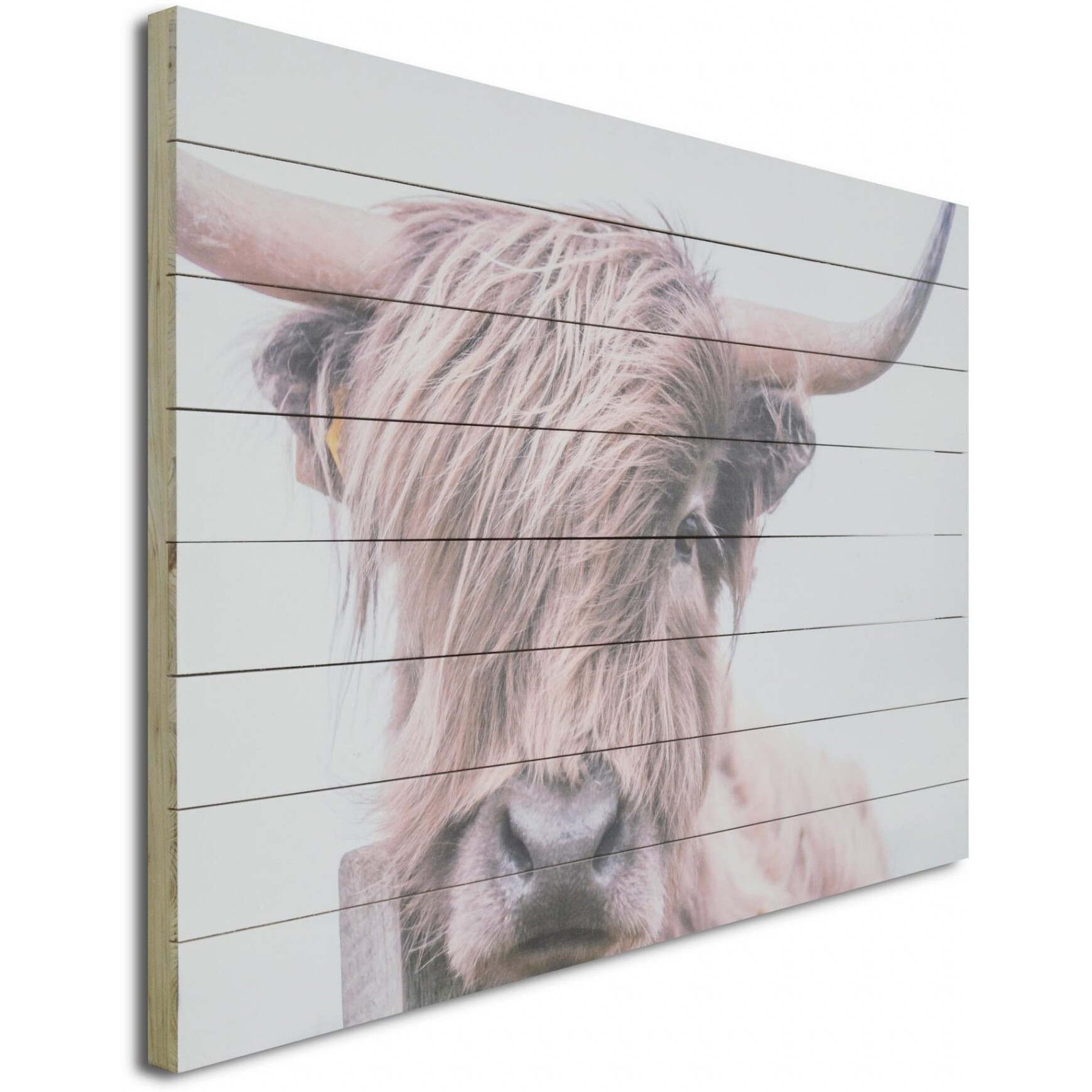 Adorbale Highland Cow Wood Plank Wall Art