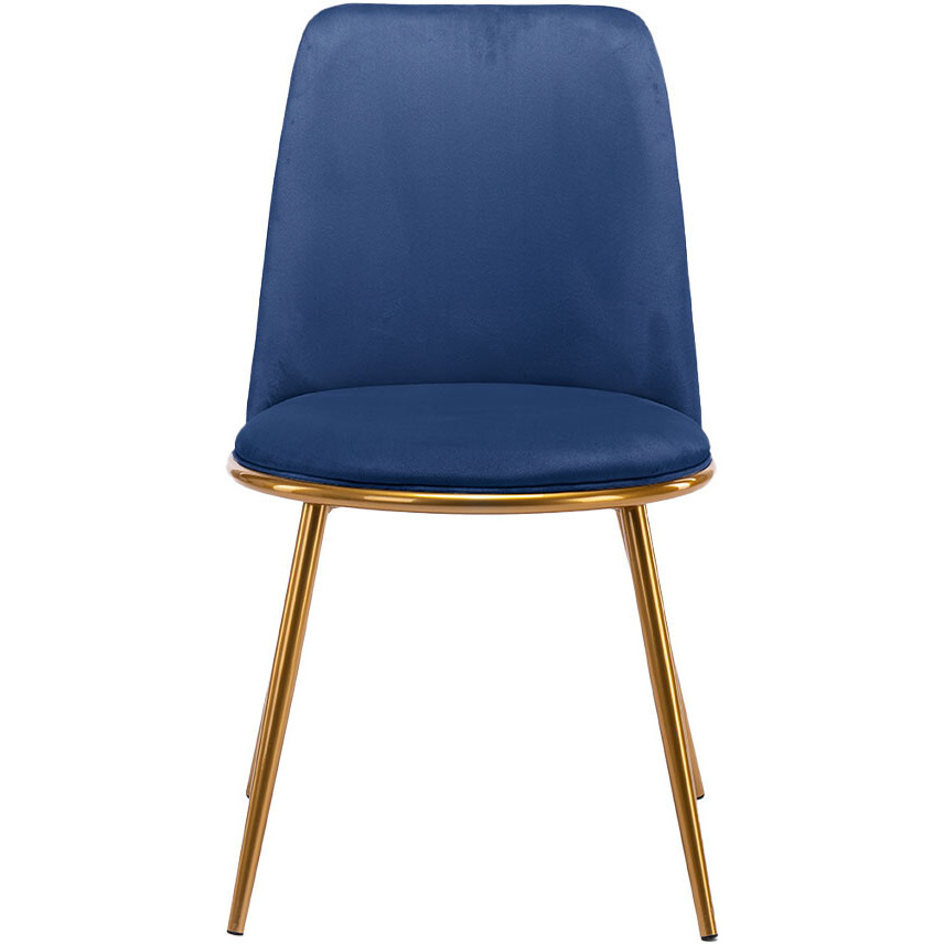 Blue And Gold Velvet And Metal Dining Side Chair