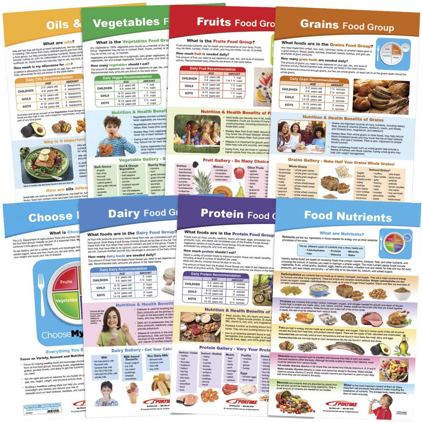 Sportime Myplate Bulletin Board Chart Set  Grades 5 To 9  8 Pieces