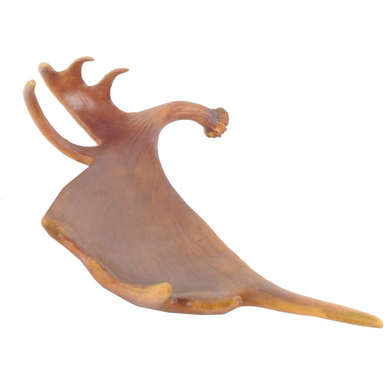 12"" X 23.5"" X 6.5"" Deer Antler Tray