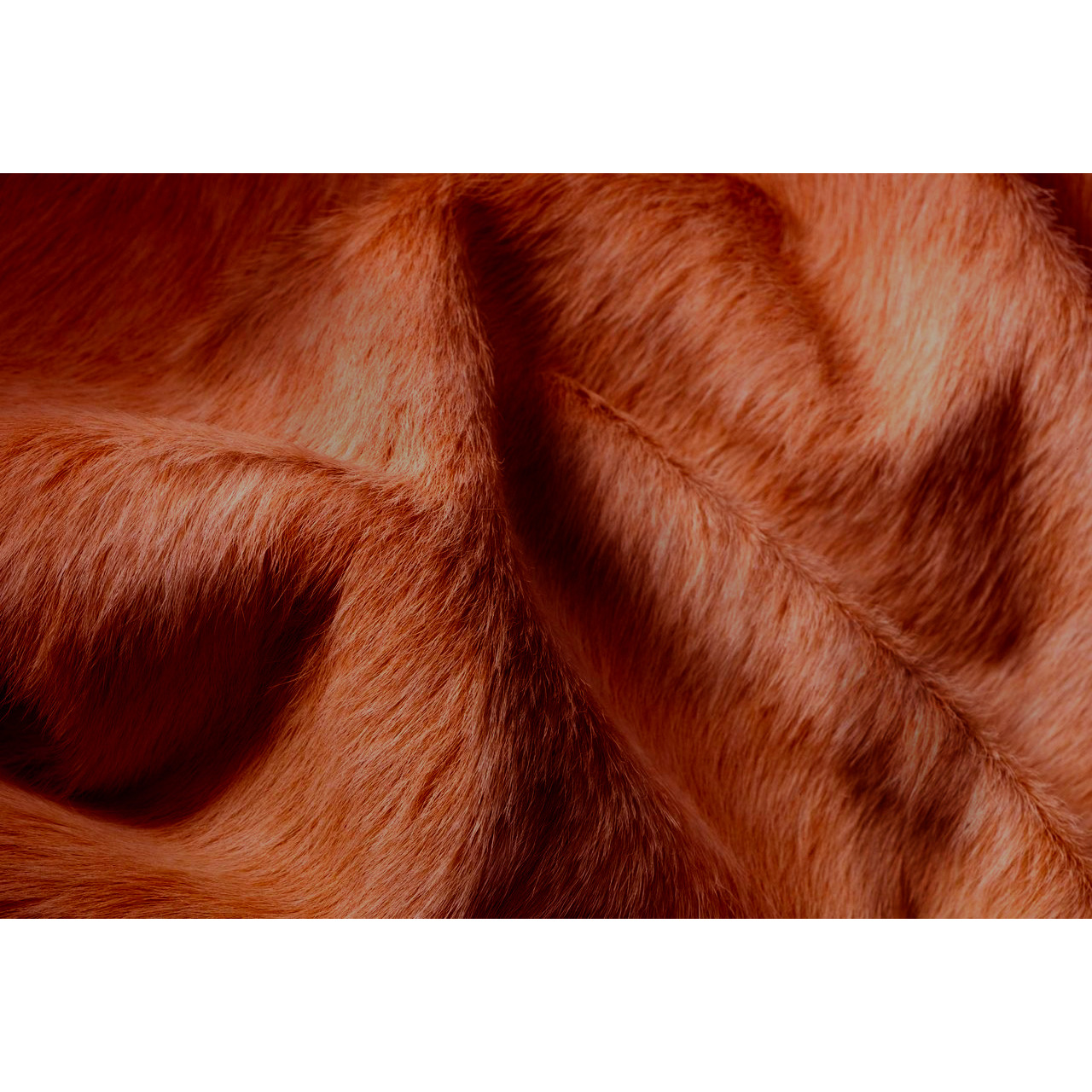 60"" X 84"" Brown Cowhide - Area Rug