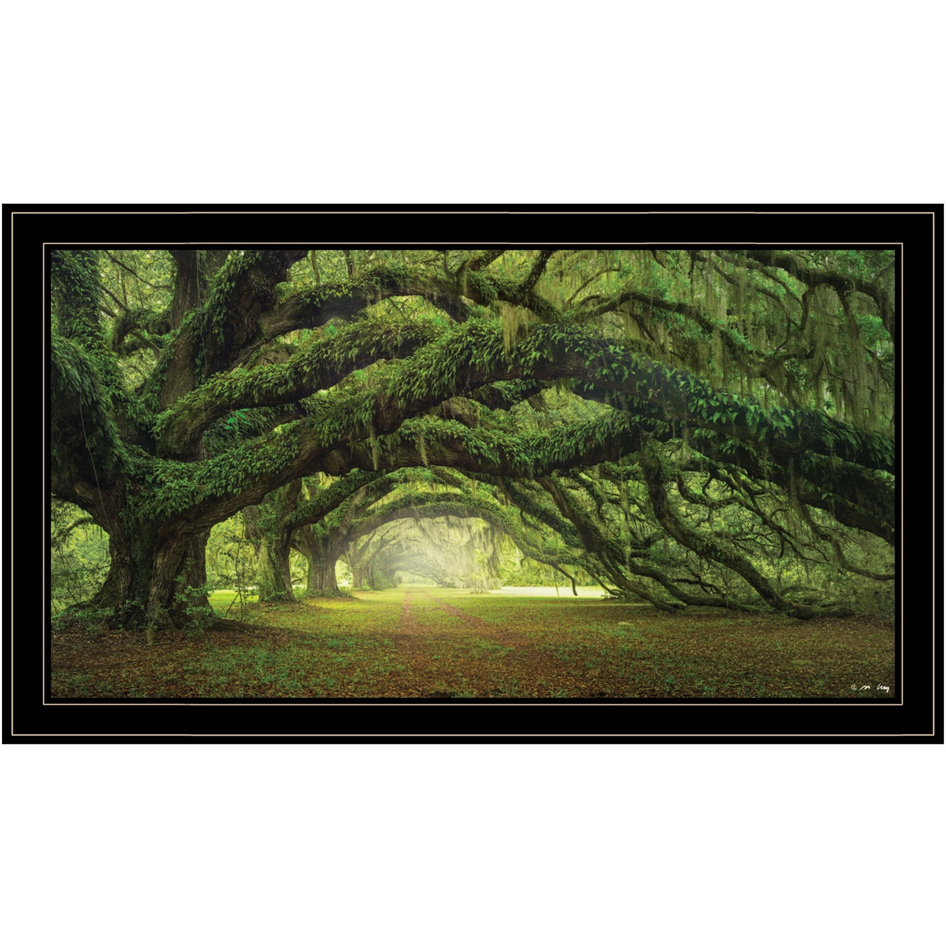 Passage 3 Black Framed Print Wall Art