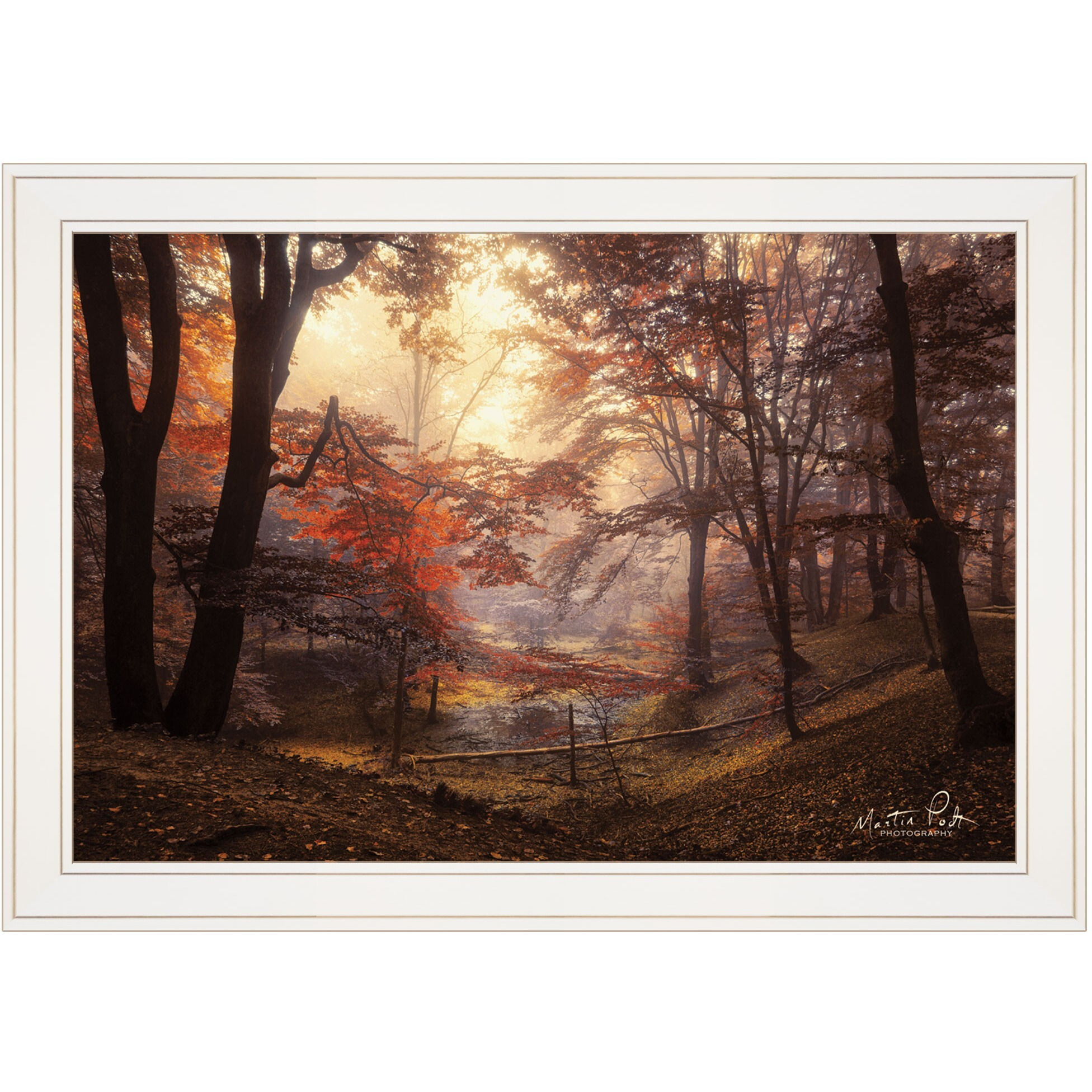 The Pool 1 White Framed Print Wall Art