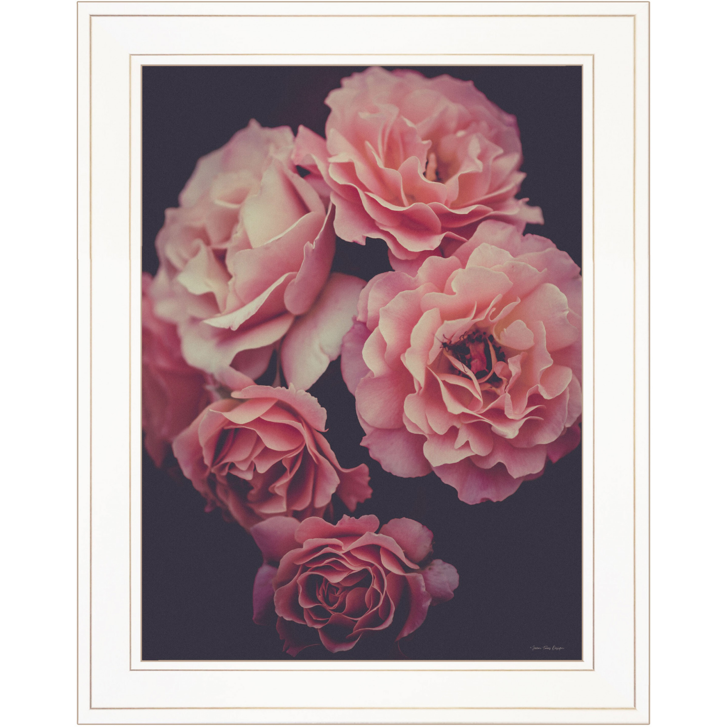 Dreamy Rose 1 White Framed Print Wall Art