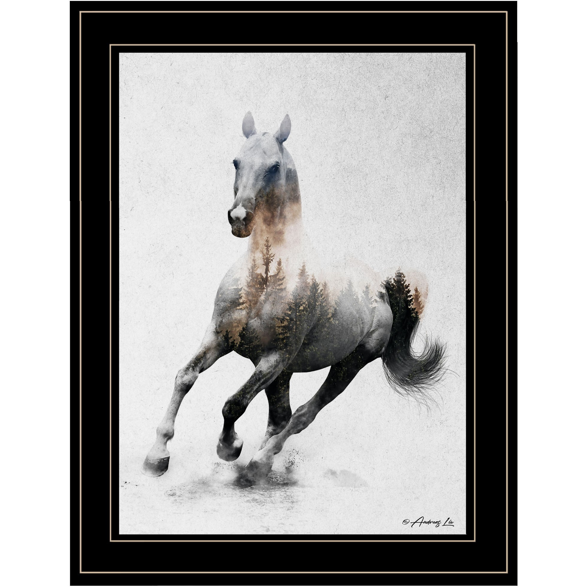 Galloping Stallion 2 Black Framed Print Wall Art