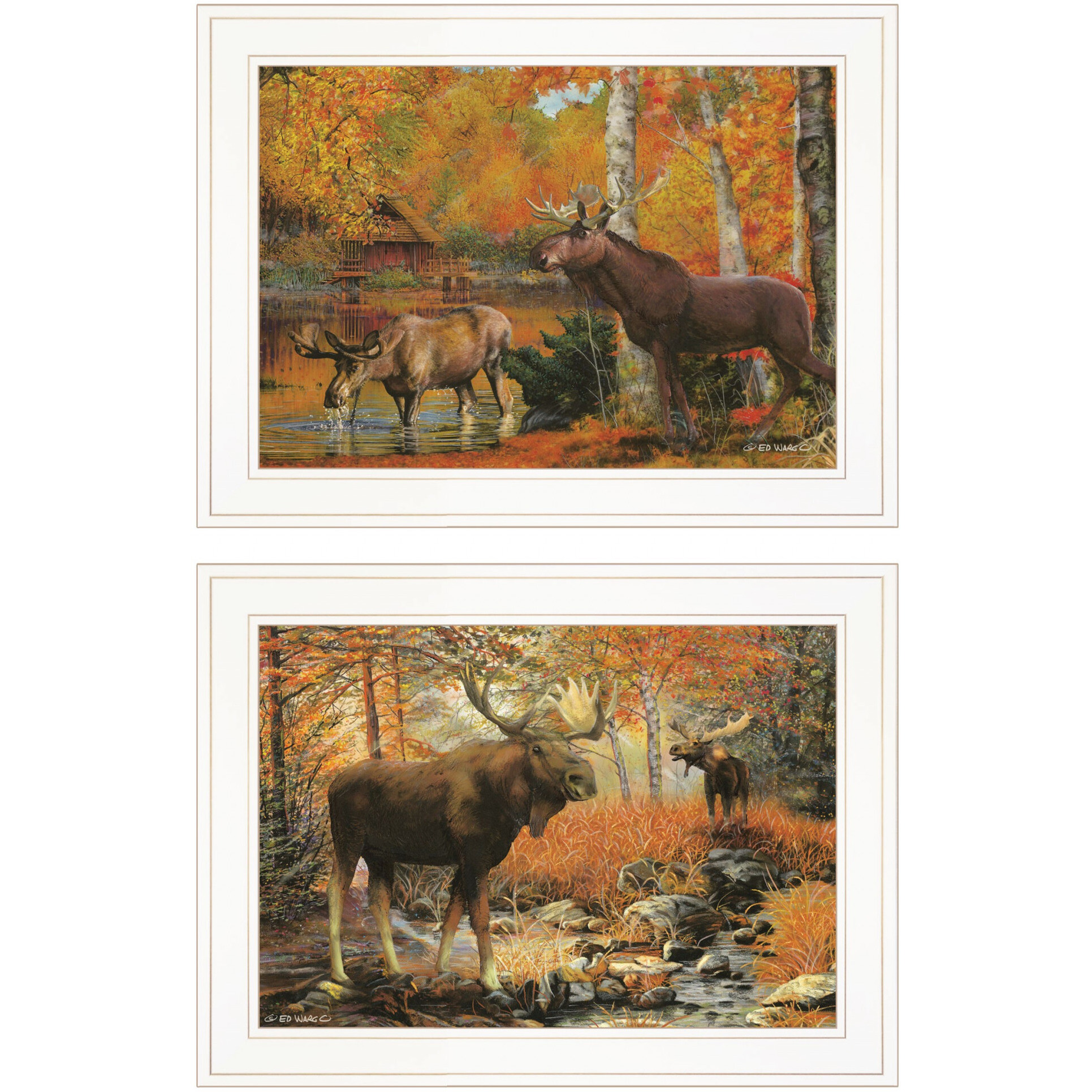 Set Of Two Call Of The Wild 1 White Framed Print Wall Art