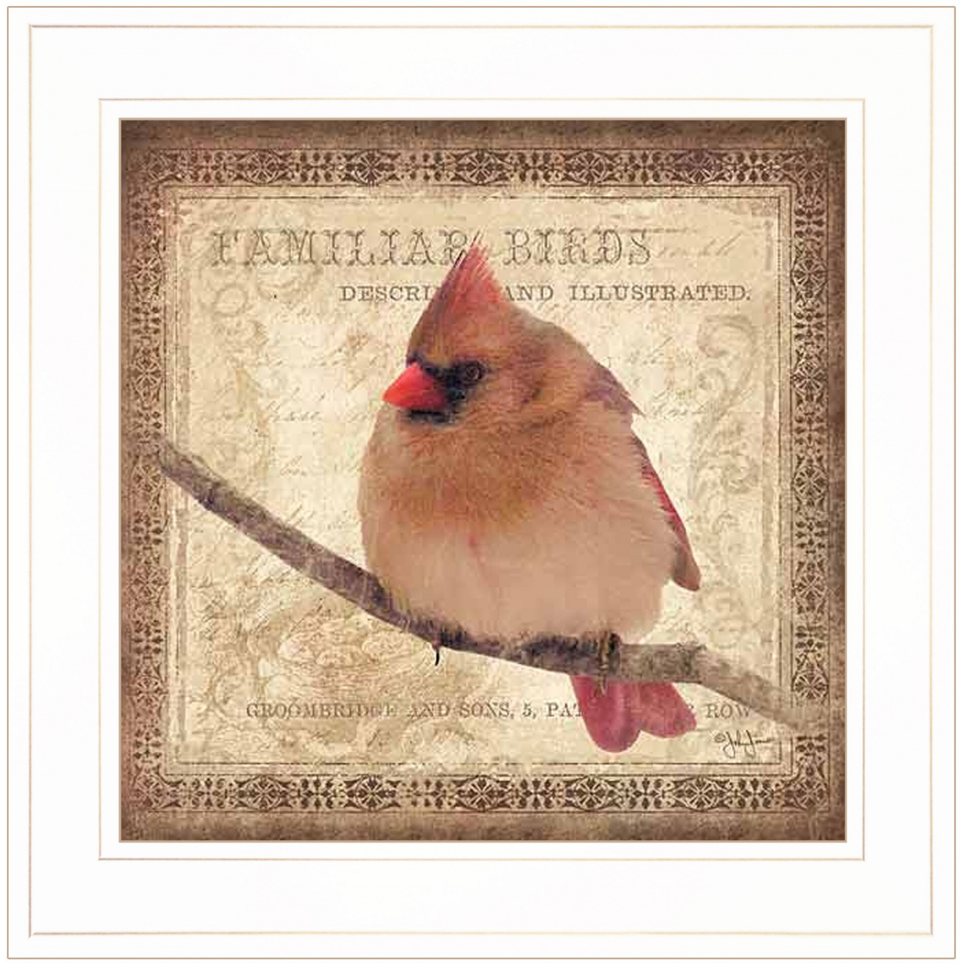 Female Cardinal 1 White Framed Print Wall Art