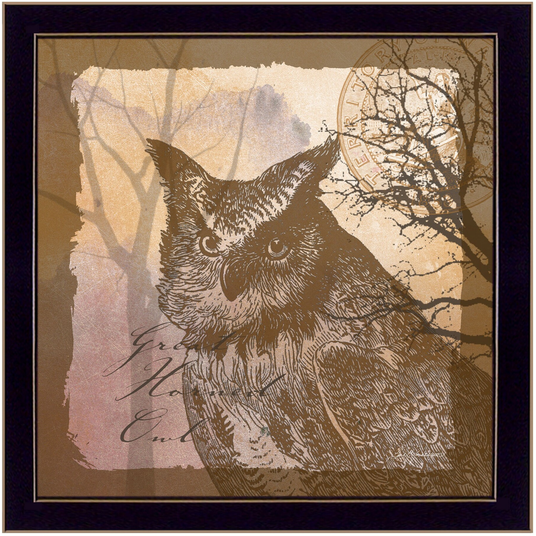 Owl 2 Black Framed Print Wall Art