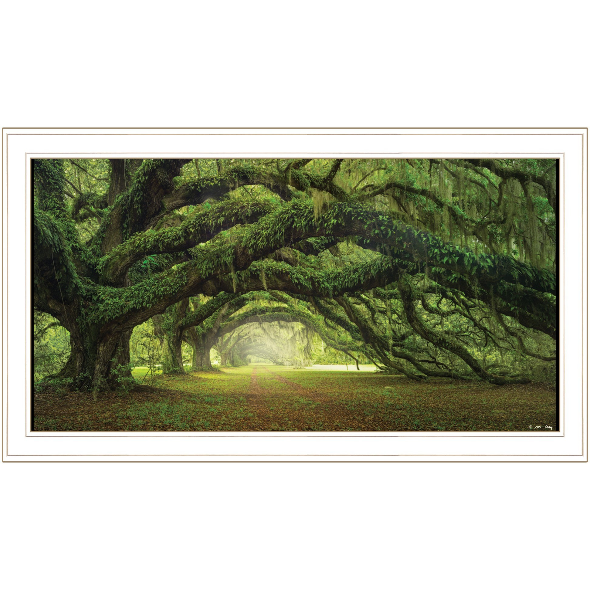 Passage 2 White Framed Print Wall Art