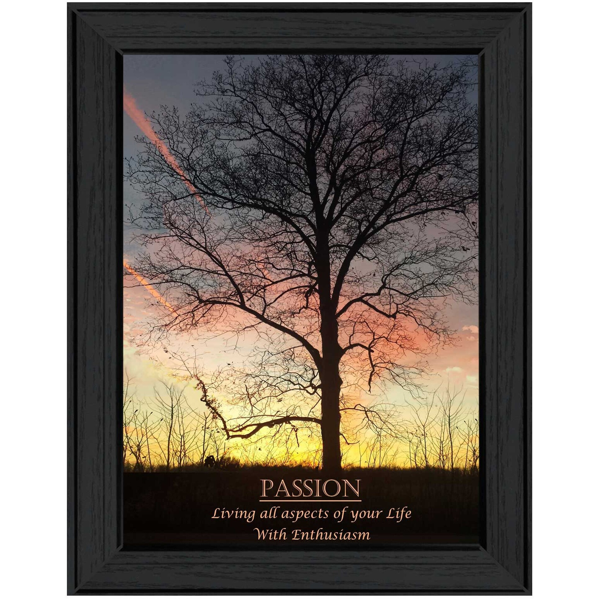 Passion 1 Black Framed Print Wall Art