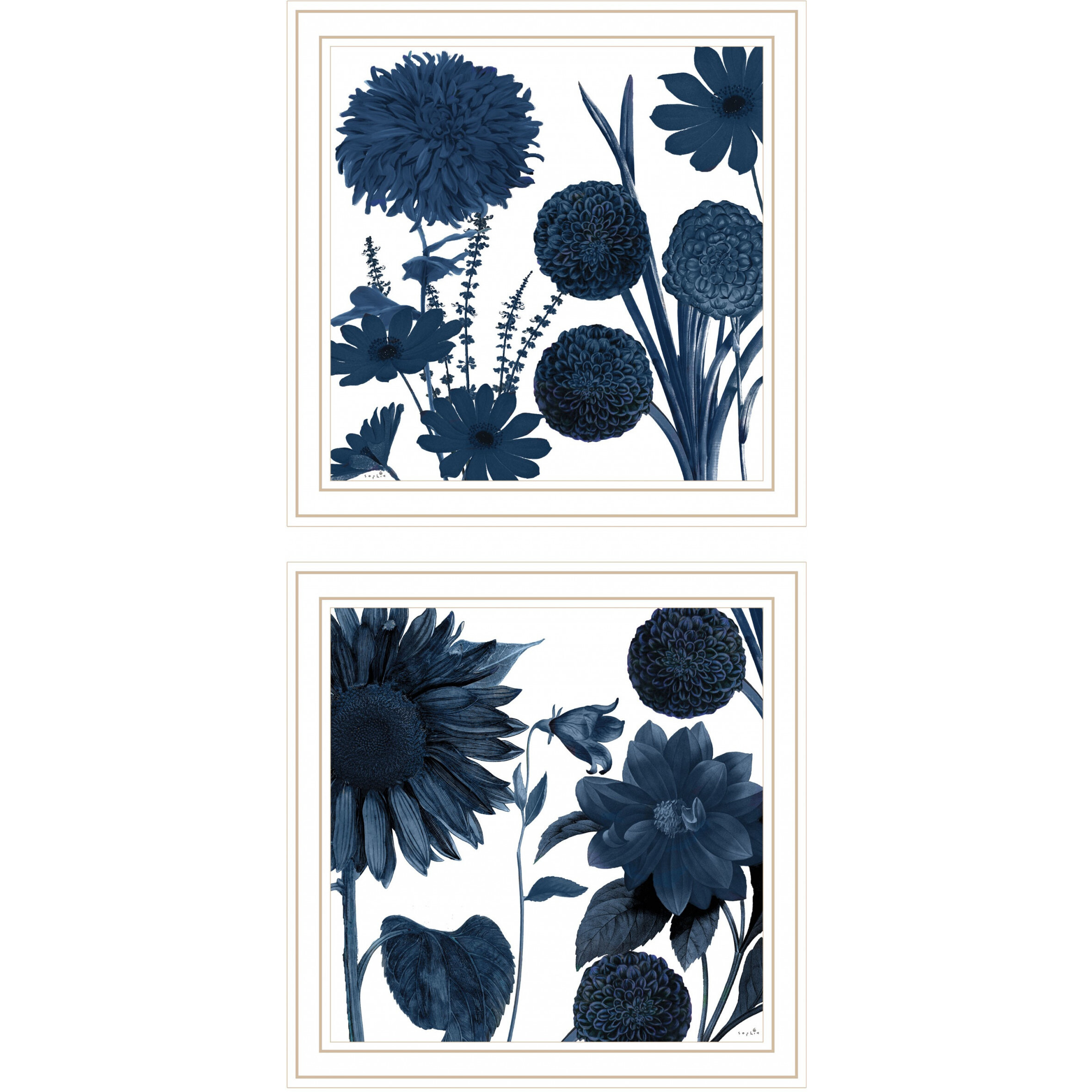 Set Of Two Sunflower Blues 2 White Framed Print Wall Art
