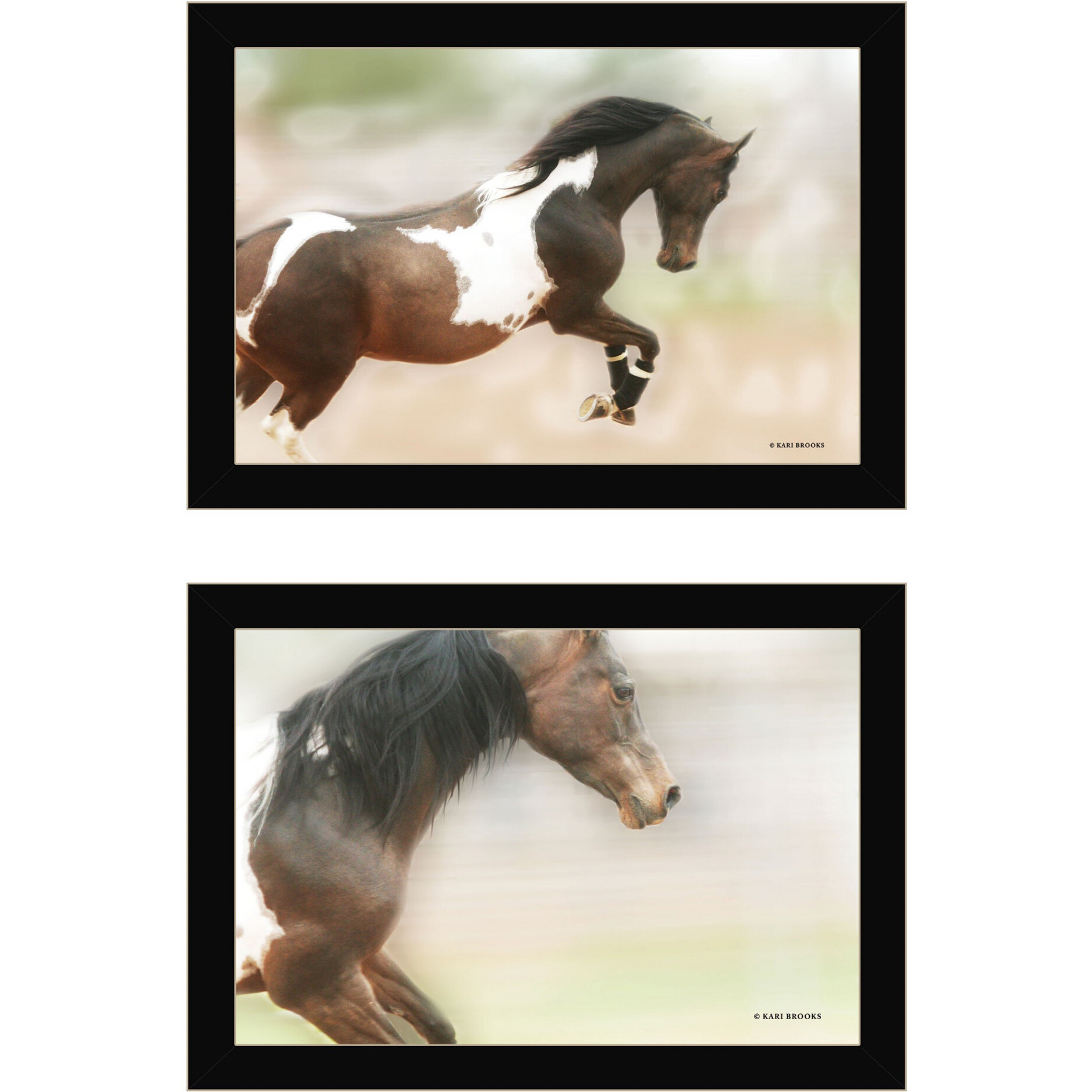 Set Of Two Wild Horses Black Framed Print Wall Art