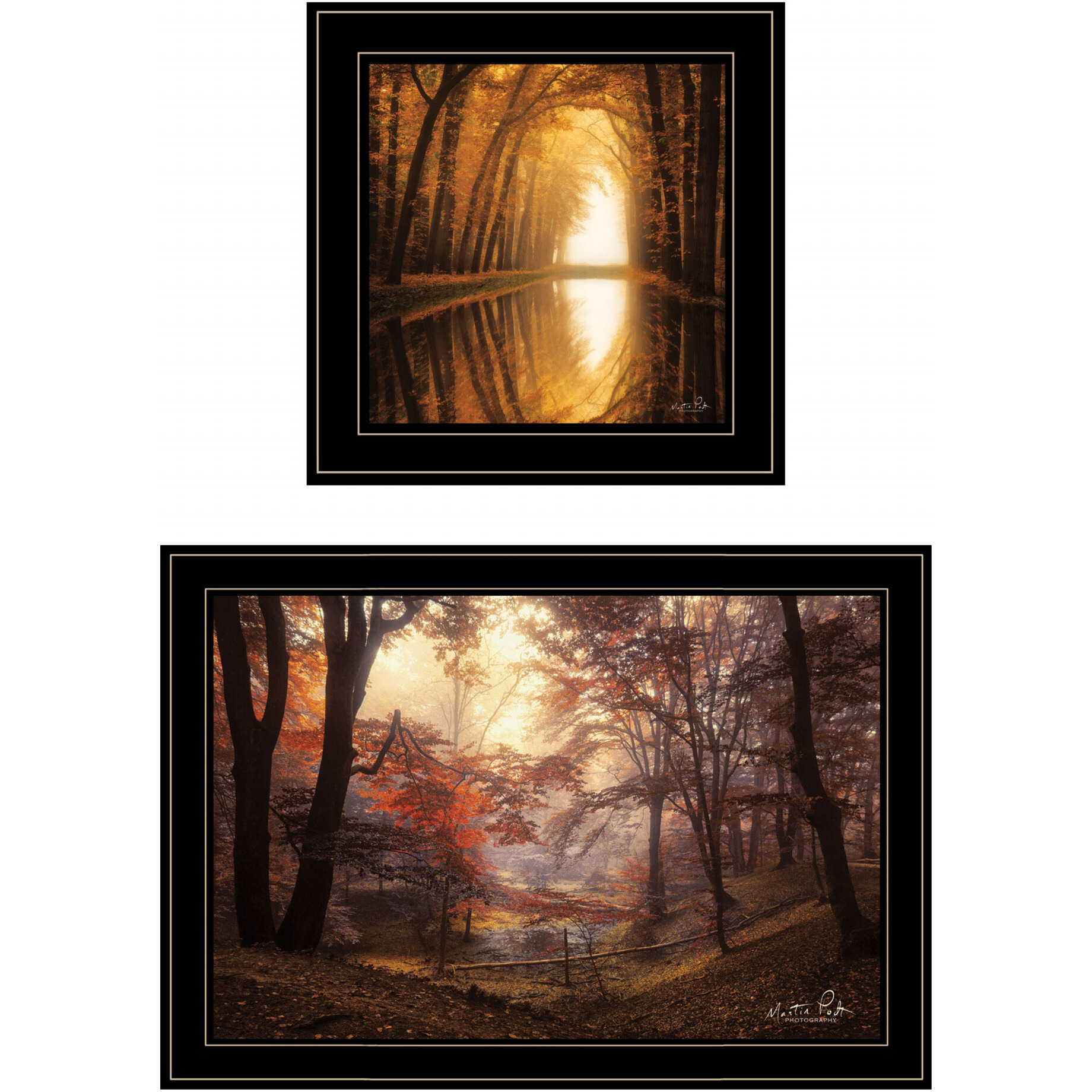 Set Of Two Natures Reflections 2 Black Framed Print Wall Art