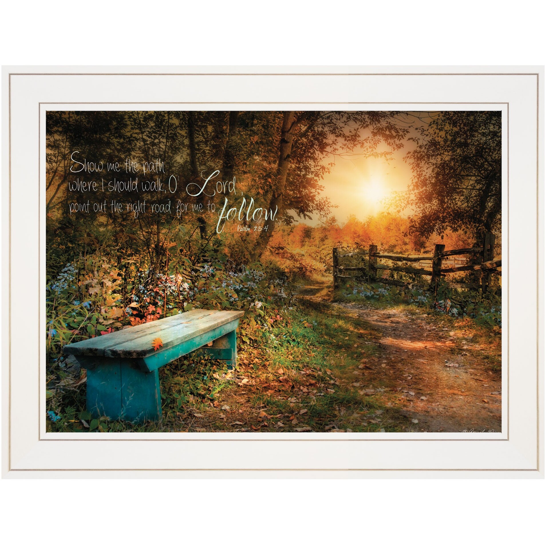 Show Me The Path 1 White Framed Print Wall Art