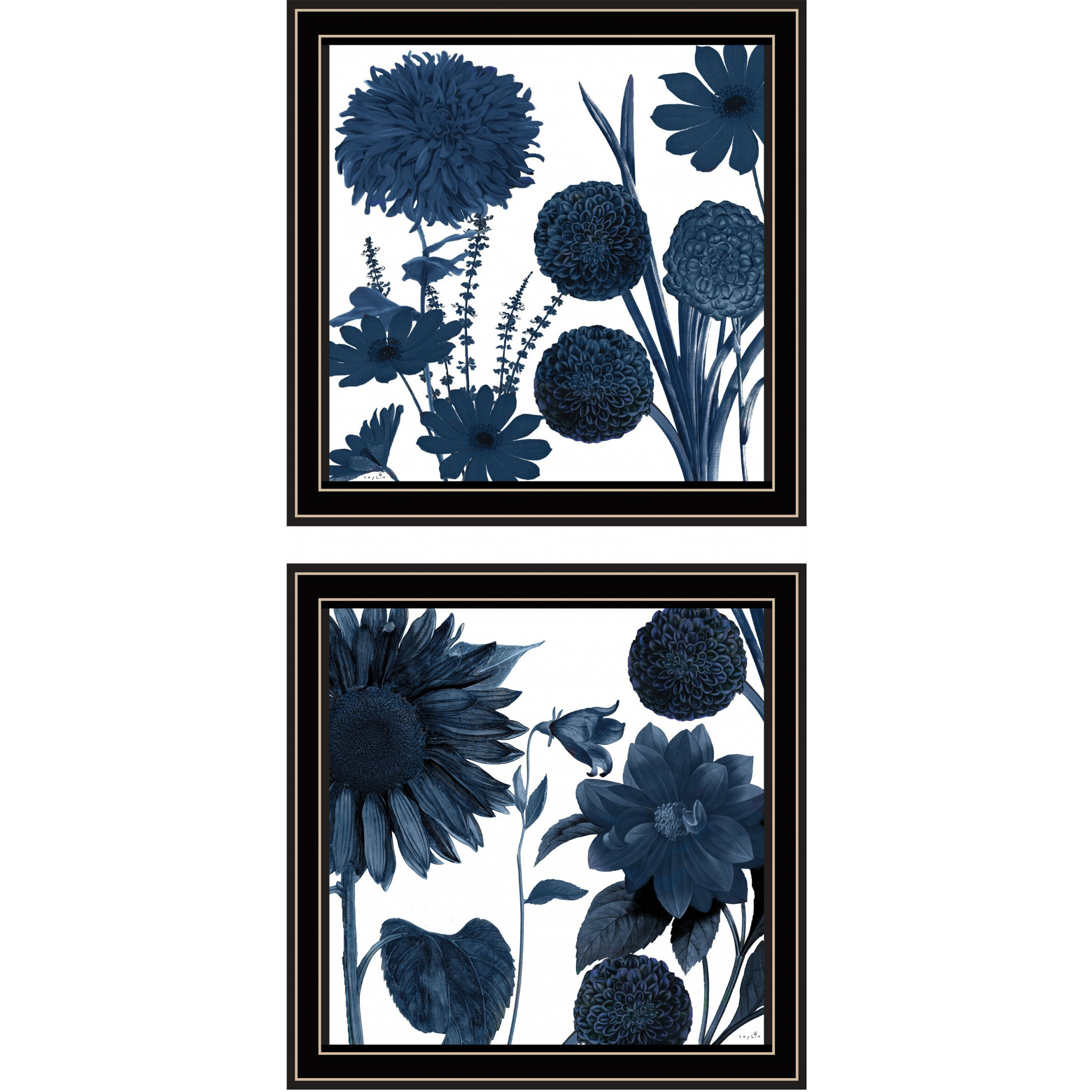 Set Of Two Sunflower Blues 1 Black Framed Print Wall Art
