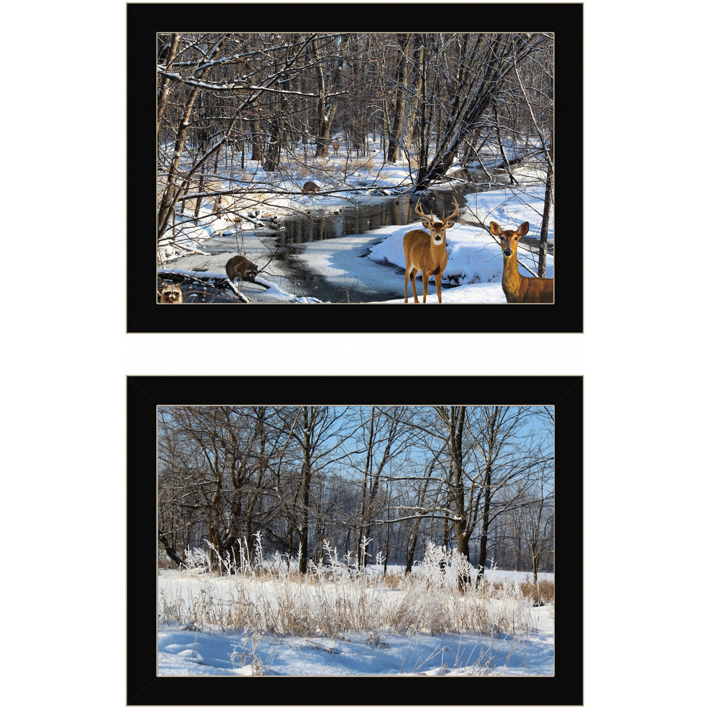 Set Of Two Great Outdoors Nature Or Winter Forest 1 Black Framed Print Wall Art