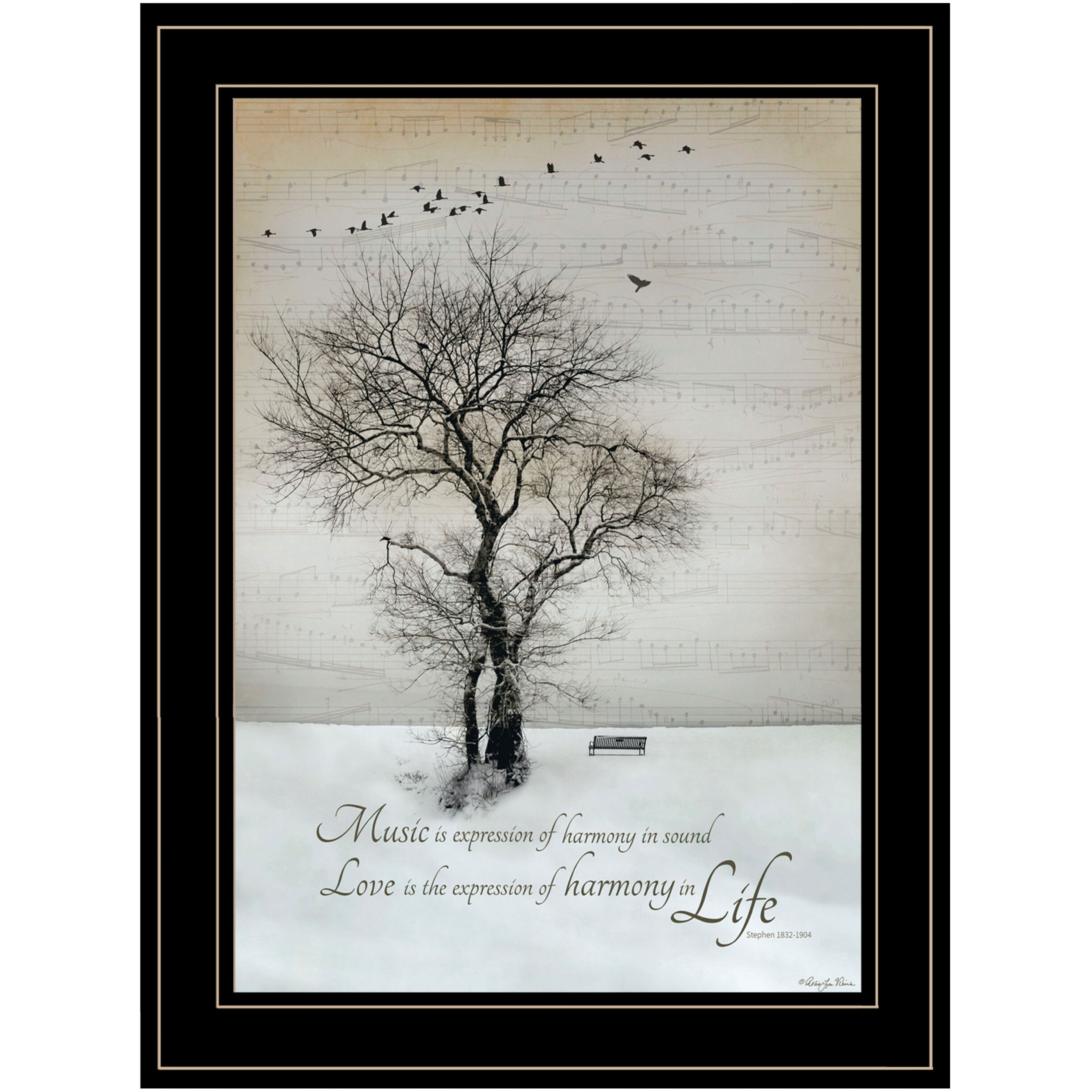 Harmony 2 Black Framed Print Wall Art