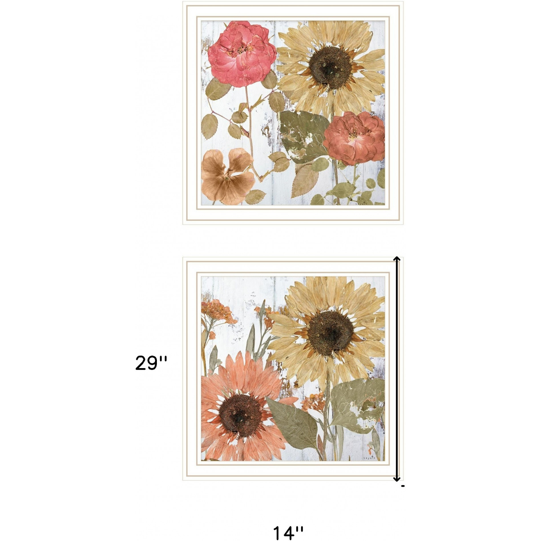 Set Of Two Earth To Petals 2 White Framed Print Wall Art