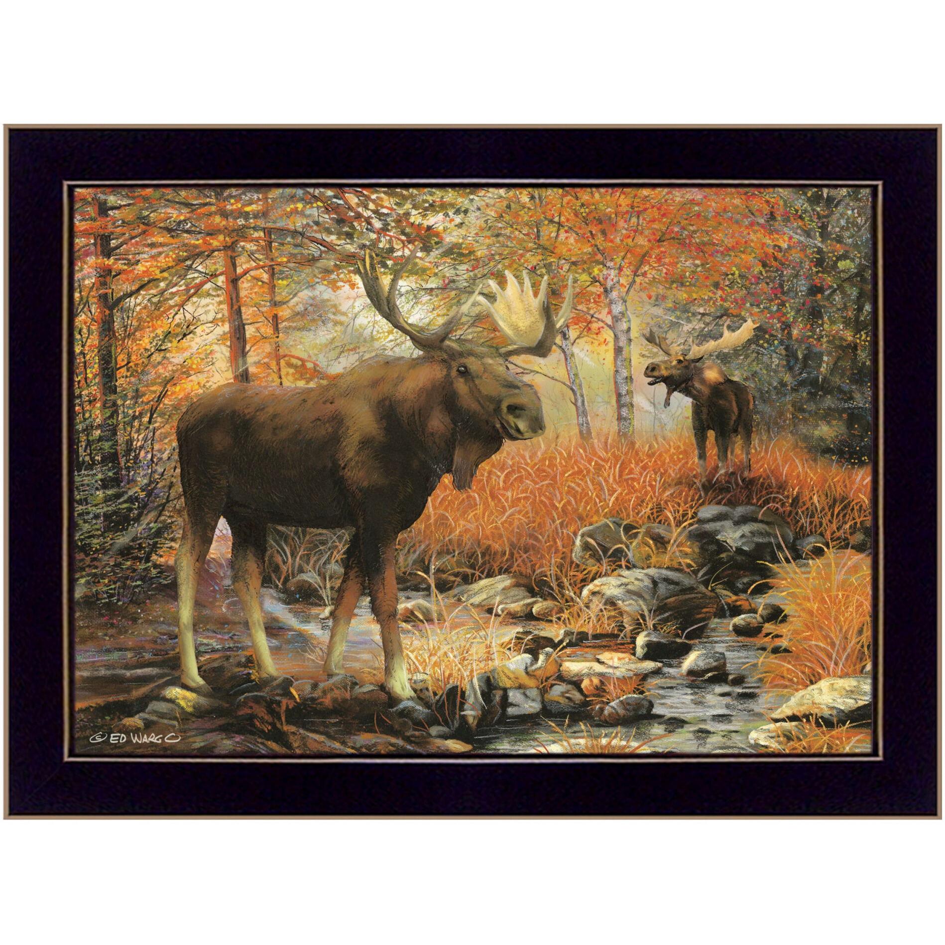 Call Of The Wild 1 Black Framed Print Wall Art