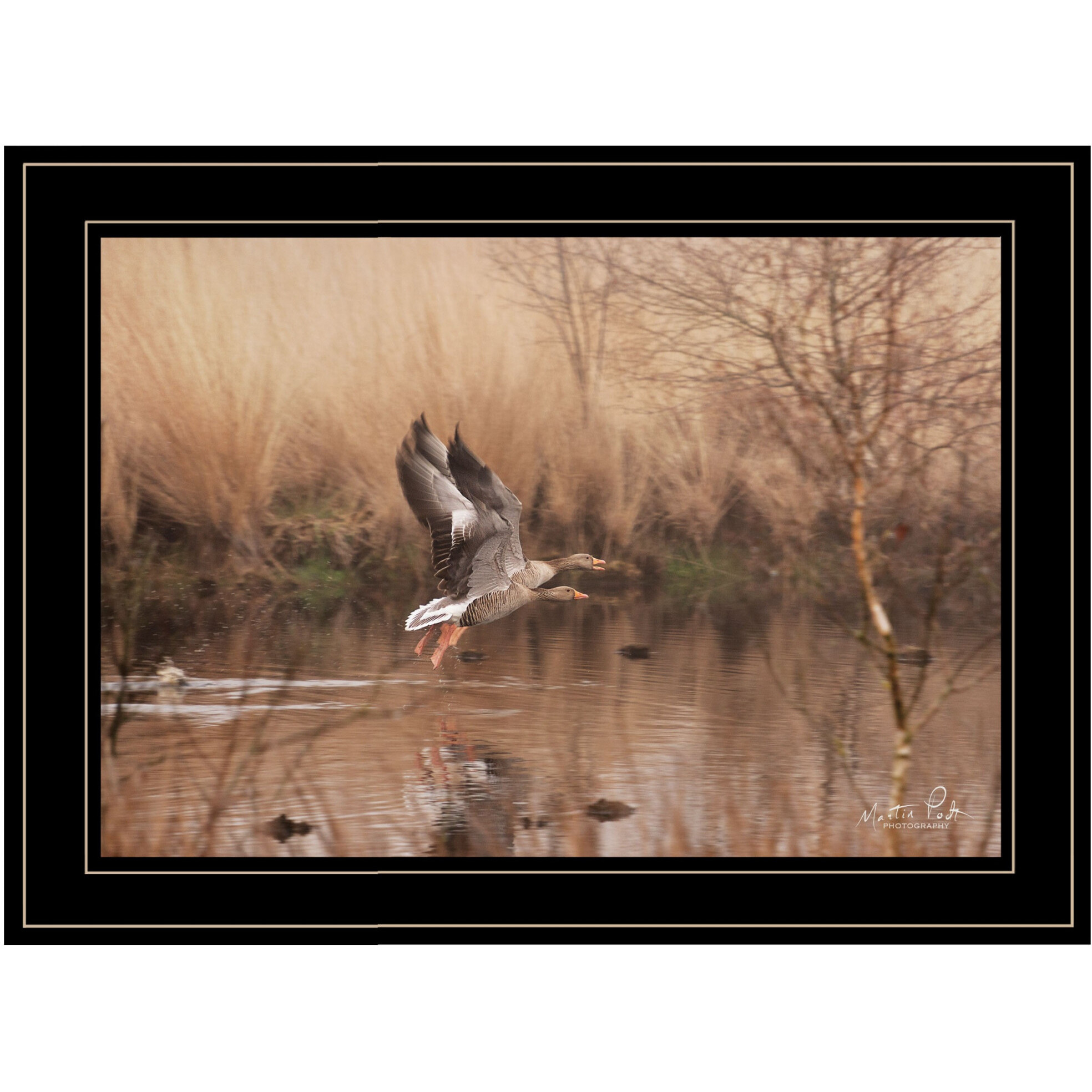 Fly Away 5 Black Framed Print Wall Art