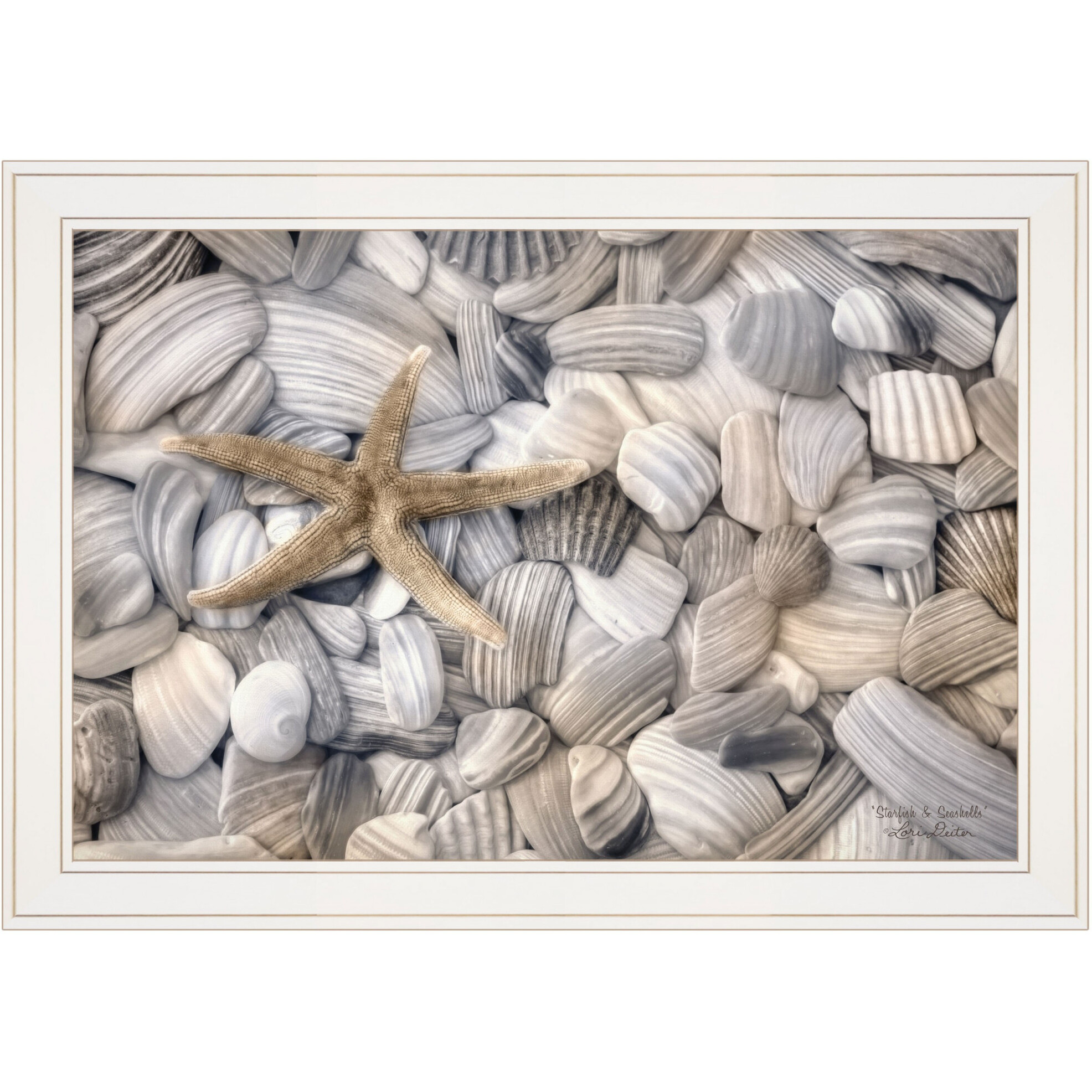 Starfish & Seashells 3 White Framed Print Wall Art
