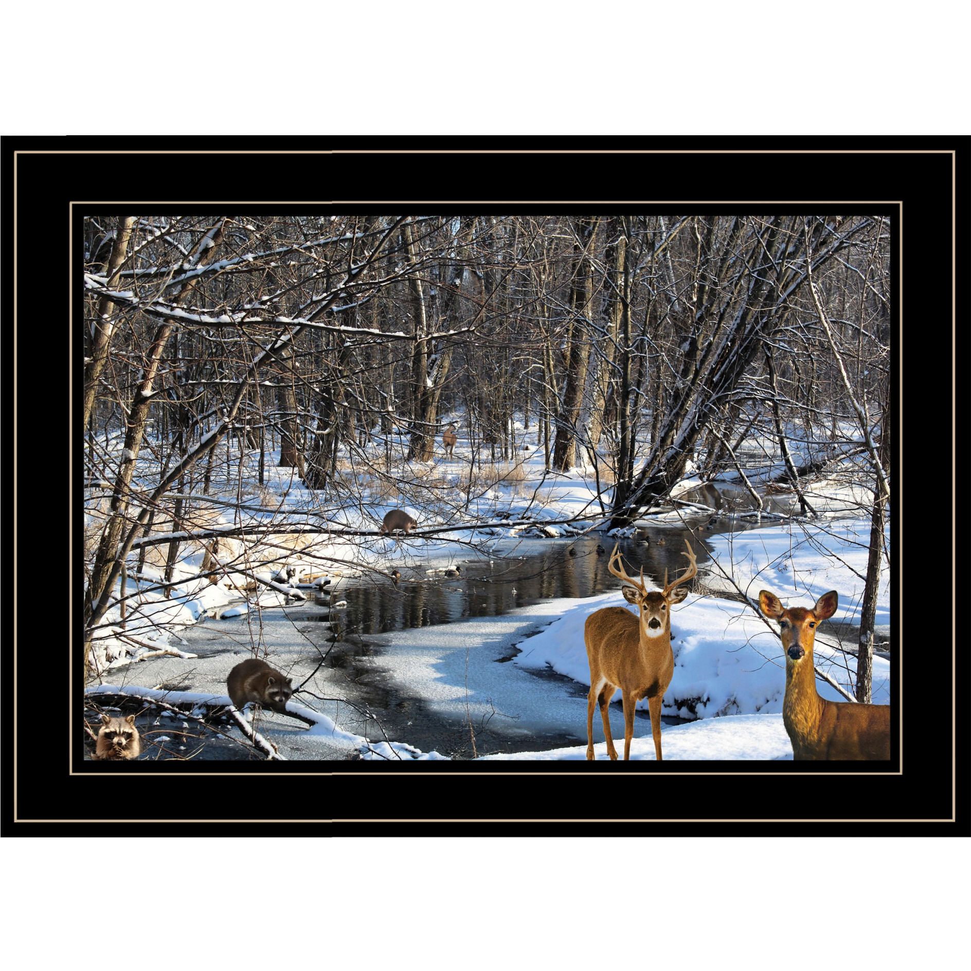 Great Outdoors Nature 2 Black Framed Print Wall Art