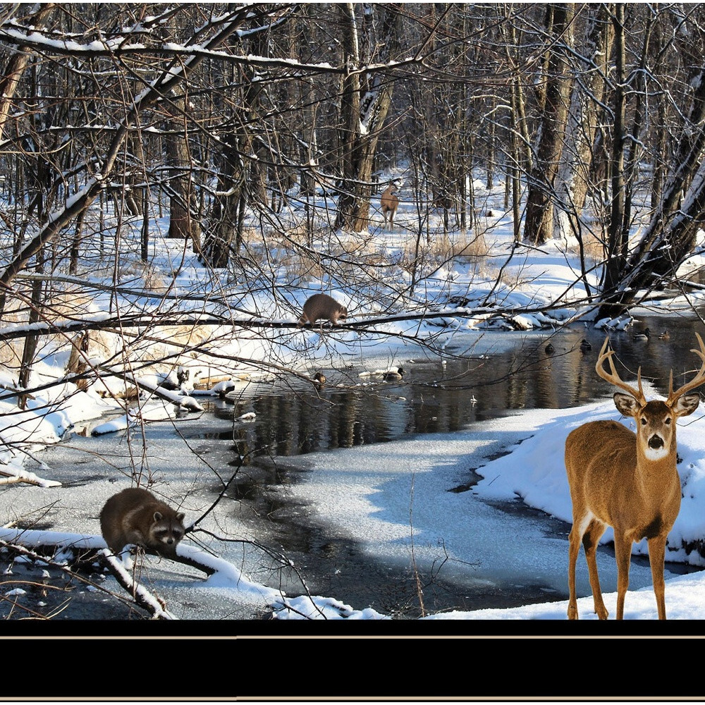 Great Outdoors Nature 2 Black Framed Print Wall Art