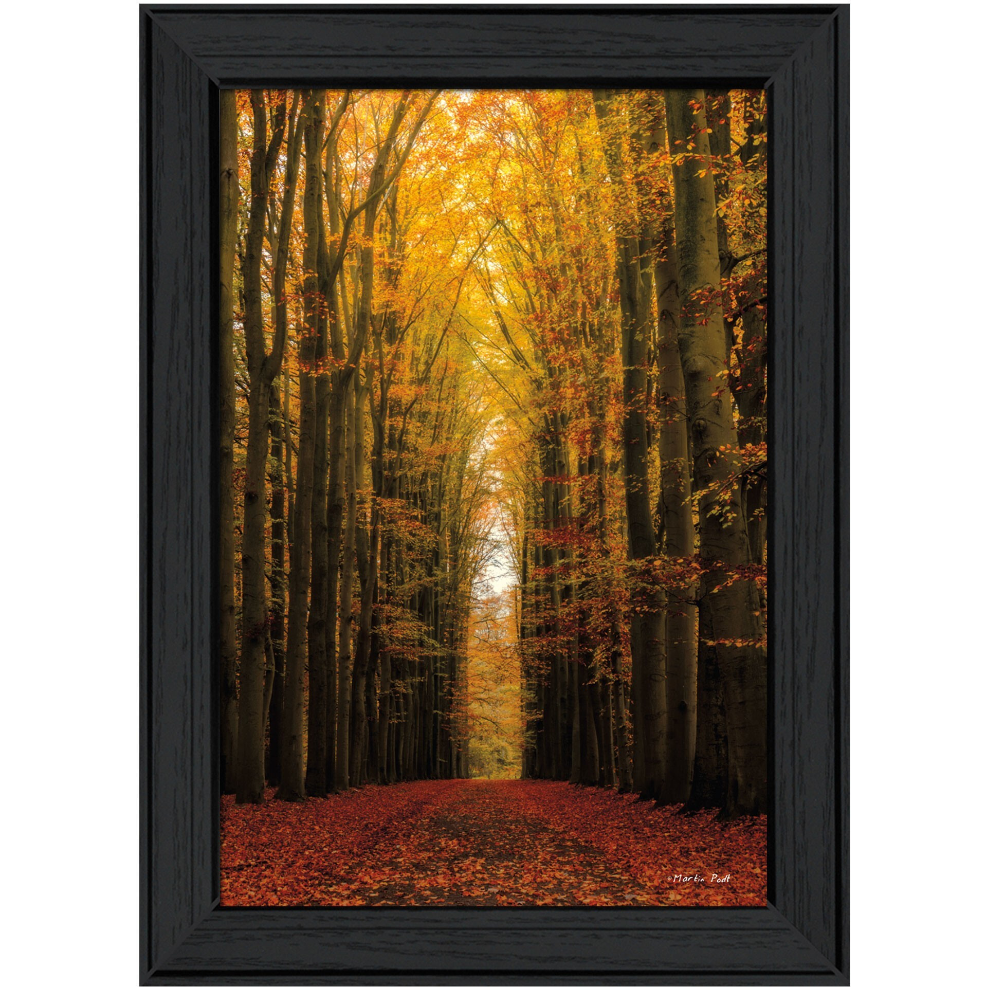 Highway To Heaven Black Framed Print Wall Art