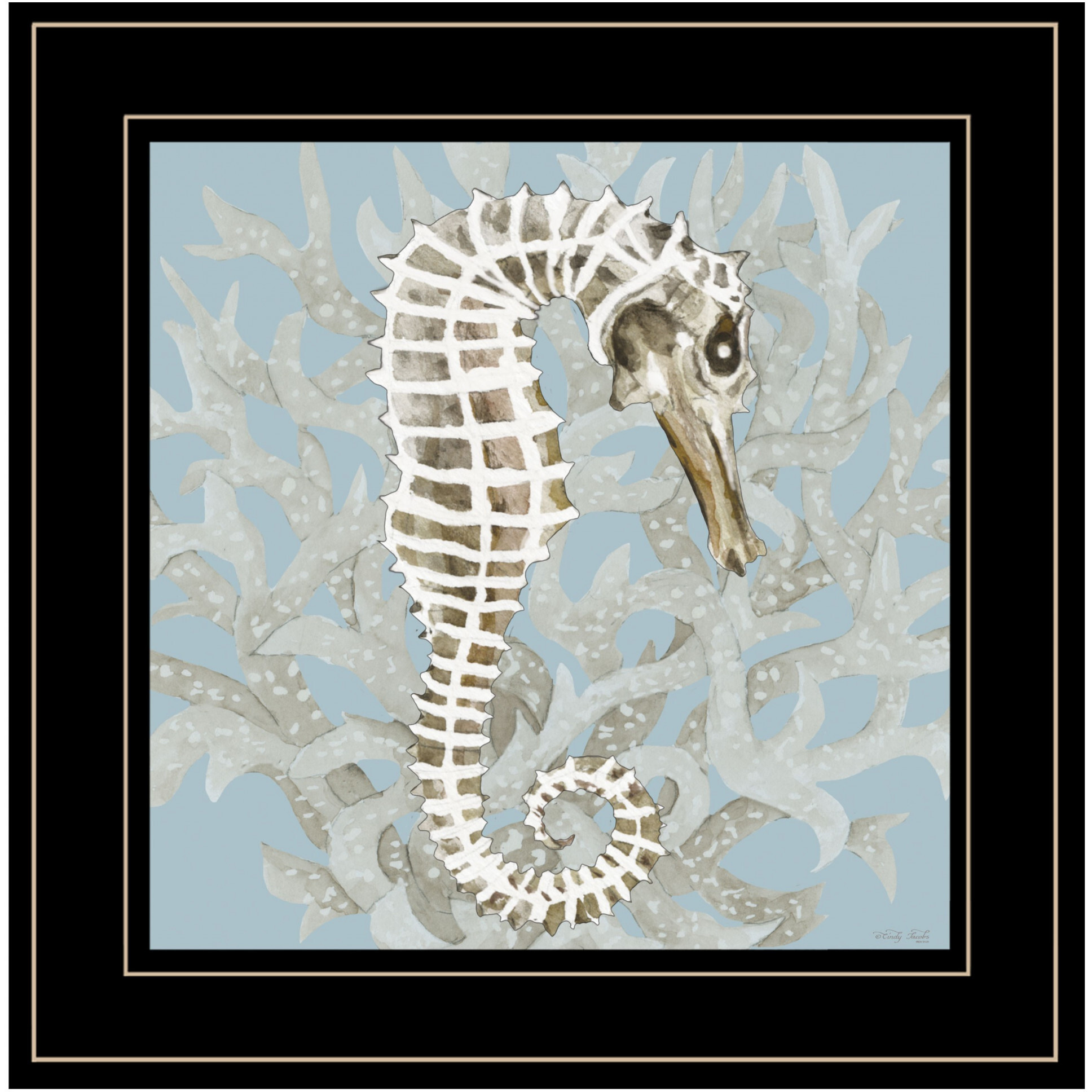Coral Seahorse I 3 Black Framed Print Wall Art