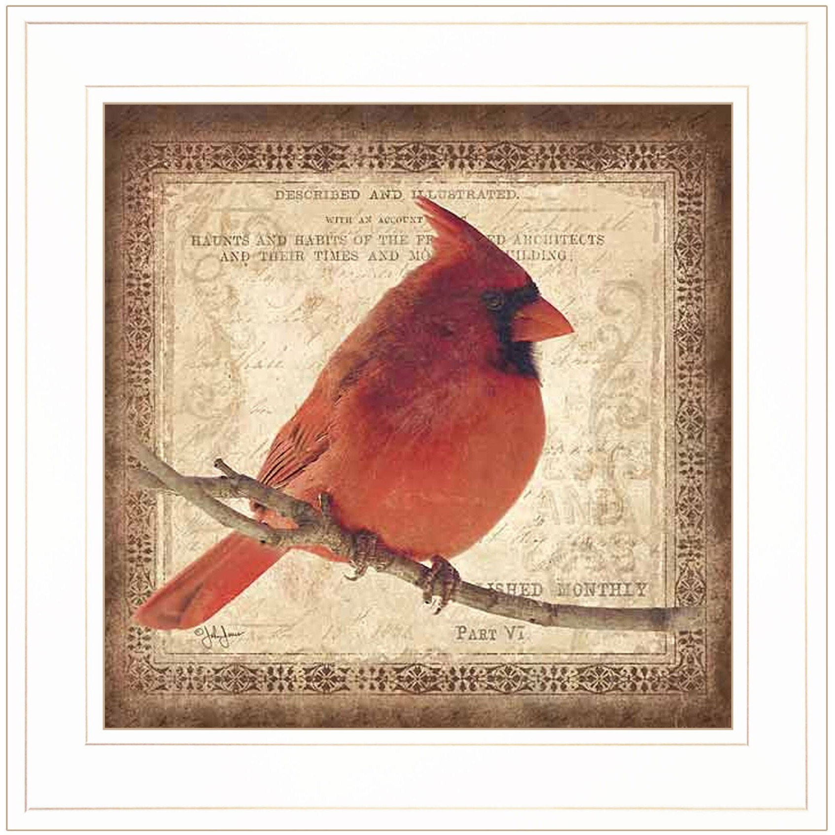 Male Cardinal 1 White Framed Print Wall Art