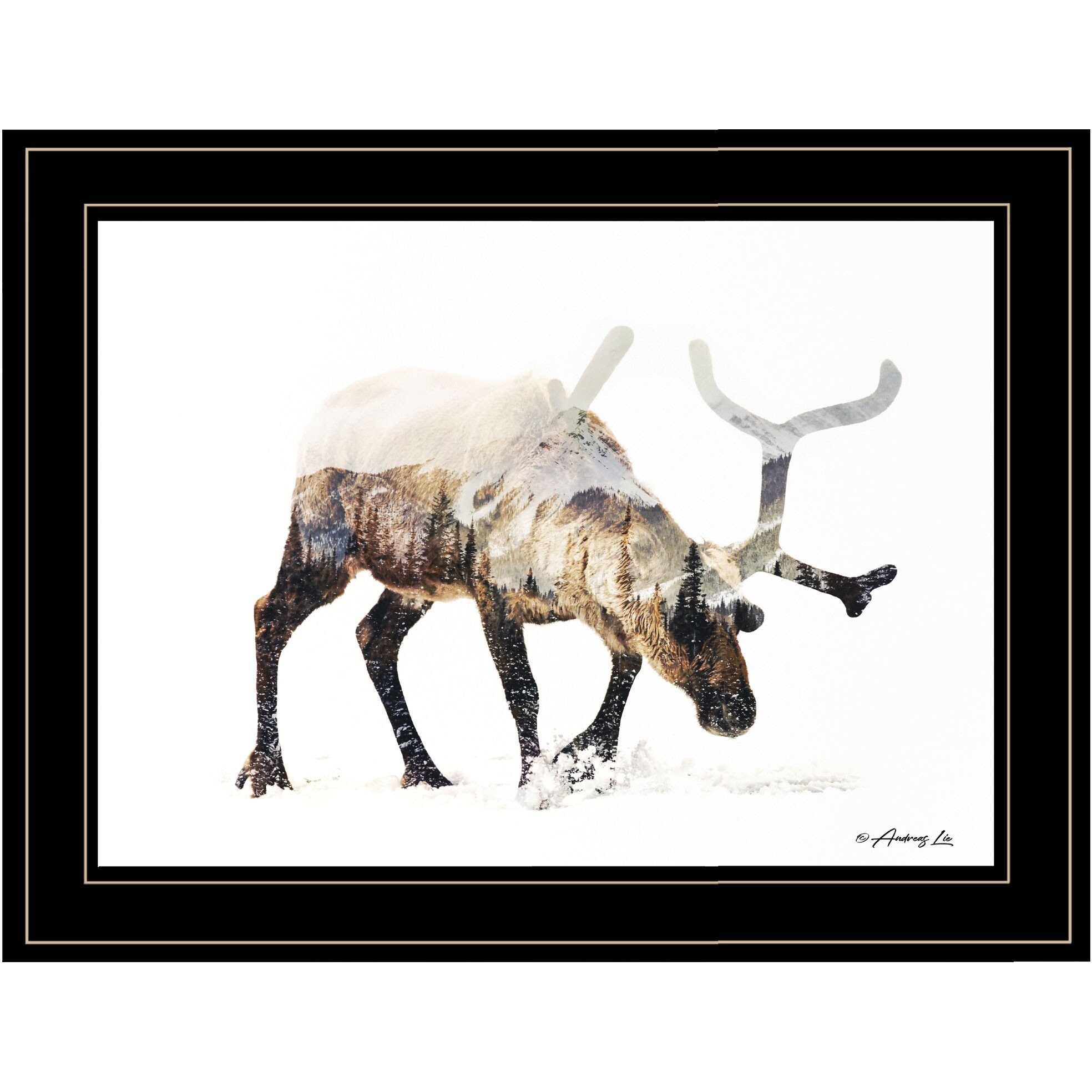 Arctic Reindeer 2 Black Framed Print Wall Art