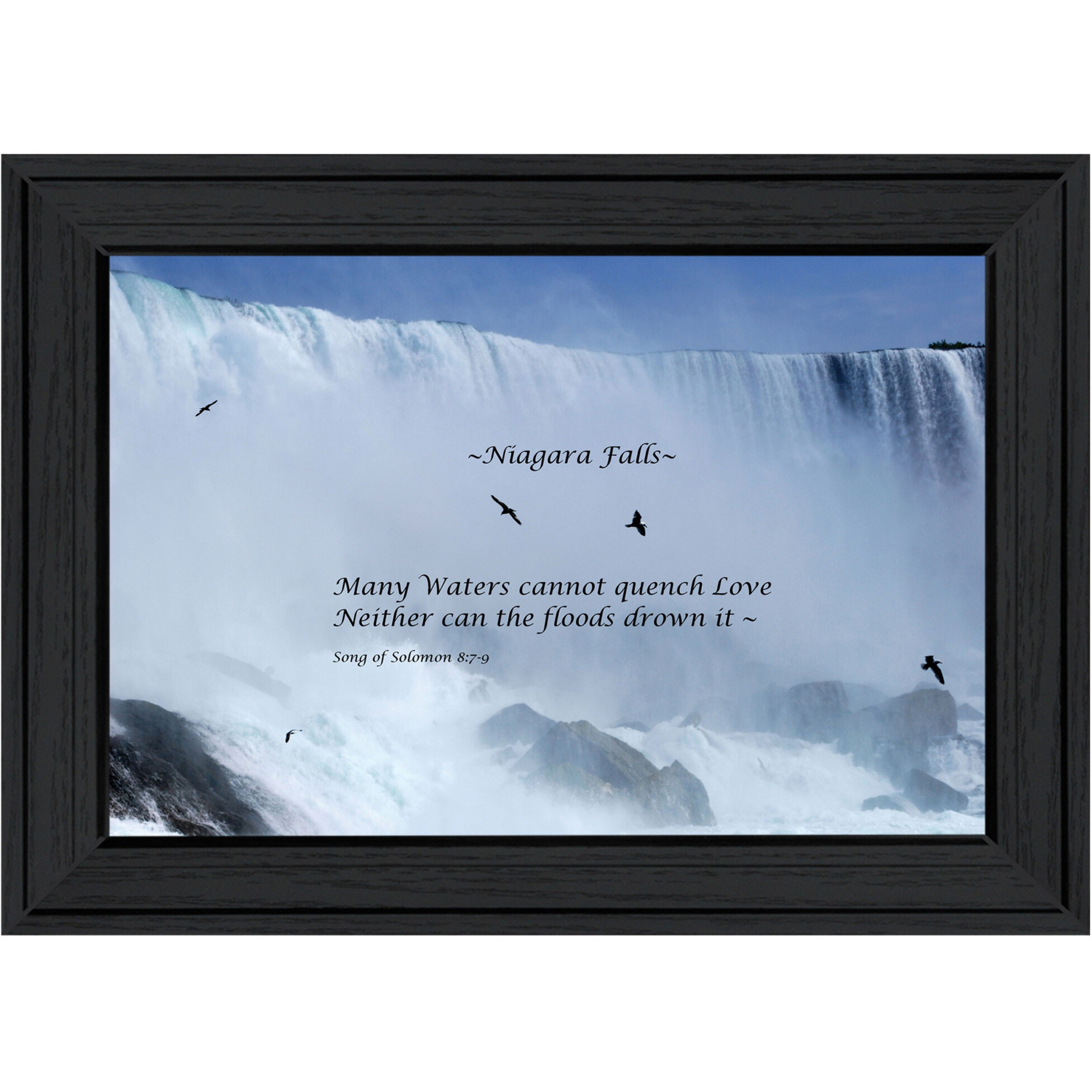 Song Of Solomon Black Framed Print Wall Art