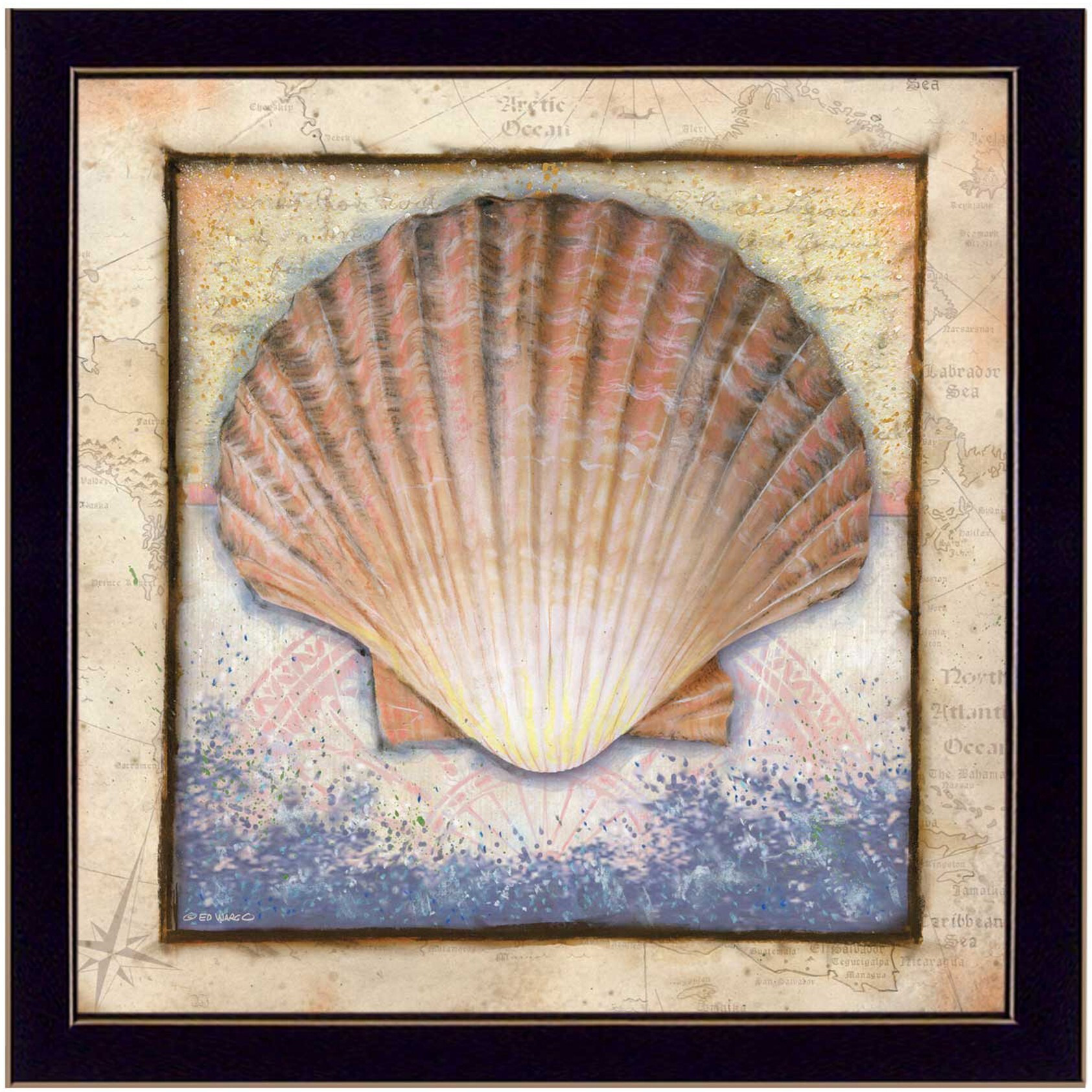 Shell Black Framed Print Wall Art