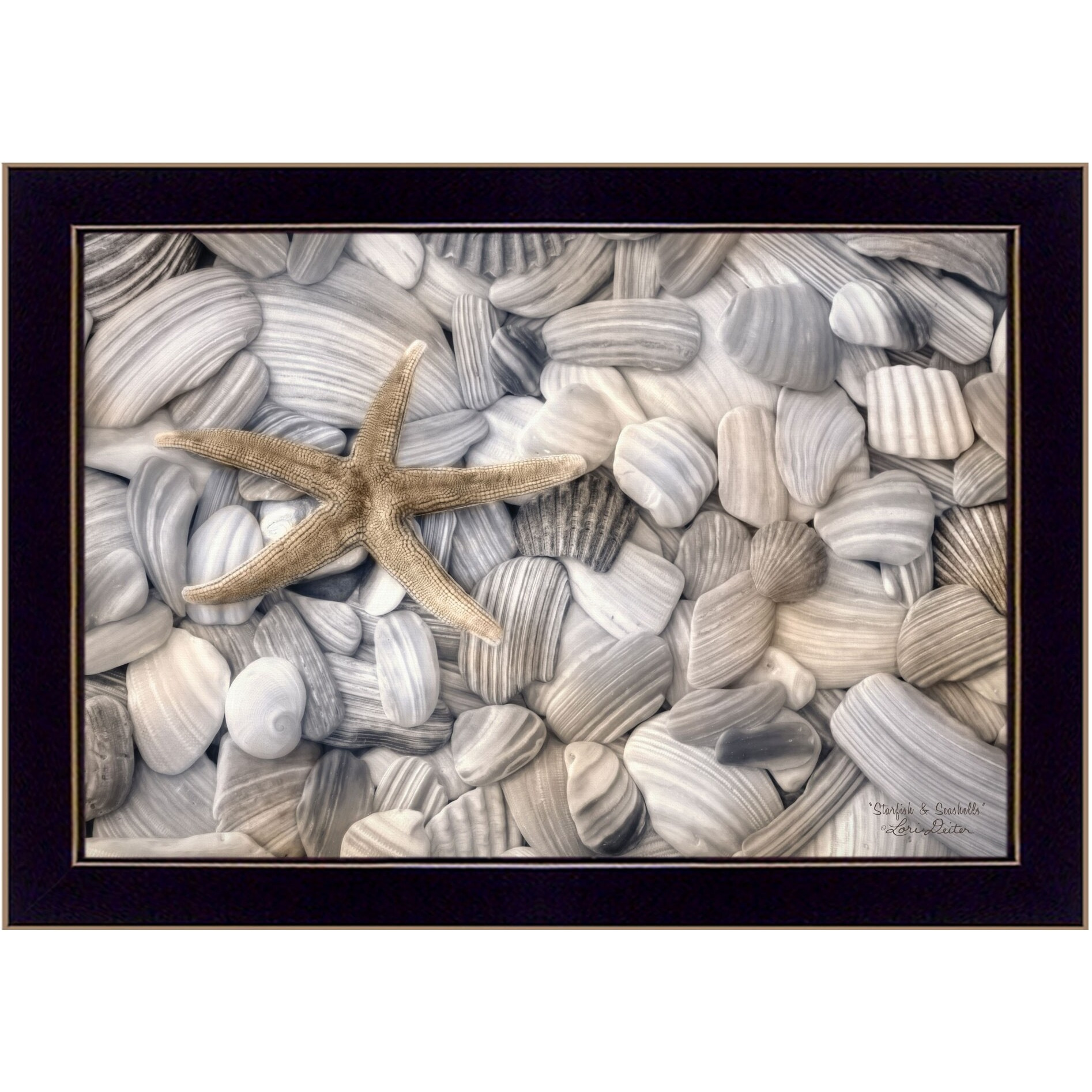 Starfish And Seashell 1 Black Framed Print Wall Art