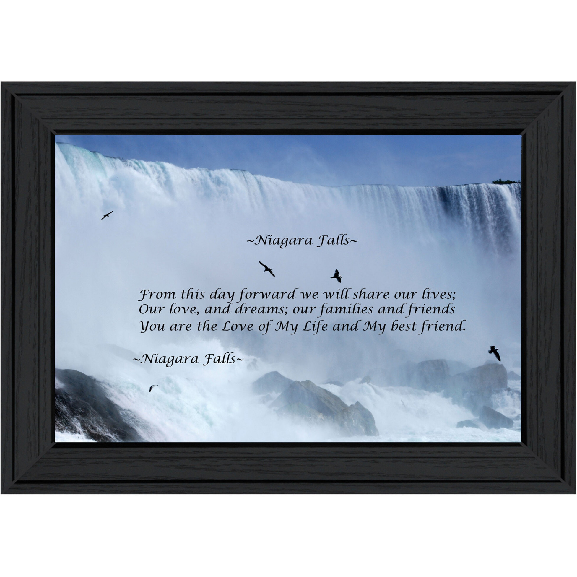 Niagara Falls Black Framed Print Wall Art