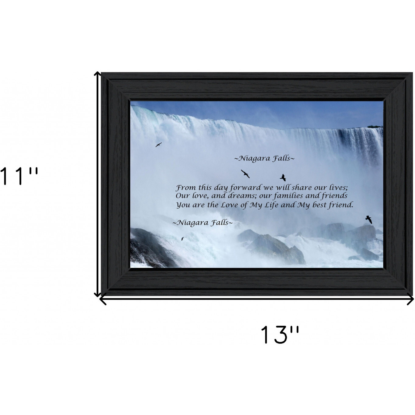 Niagara Falls Black Framed Print Wall Art