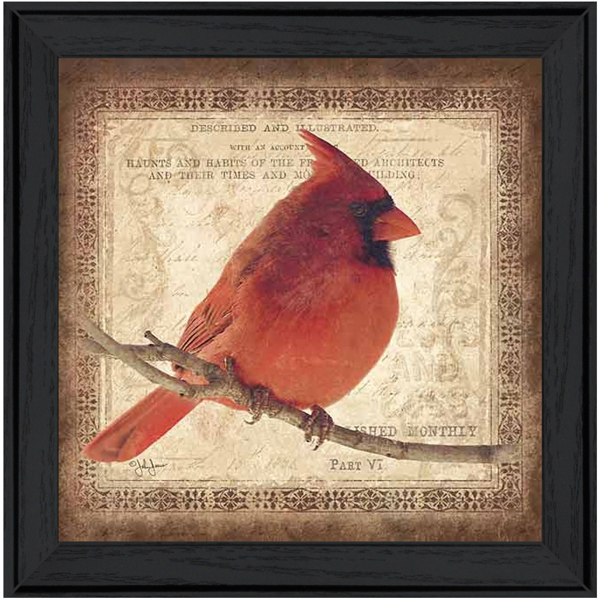 Male Cardinal 2 Black Framed Print Wall Art