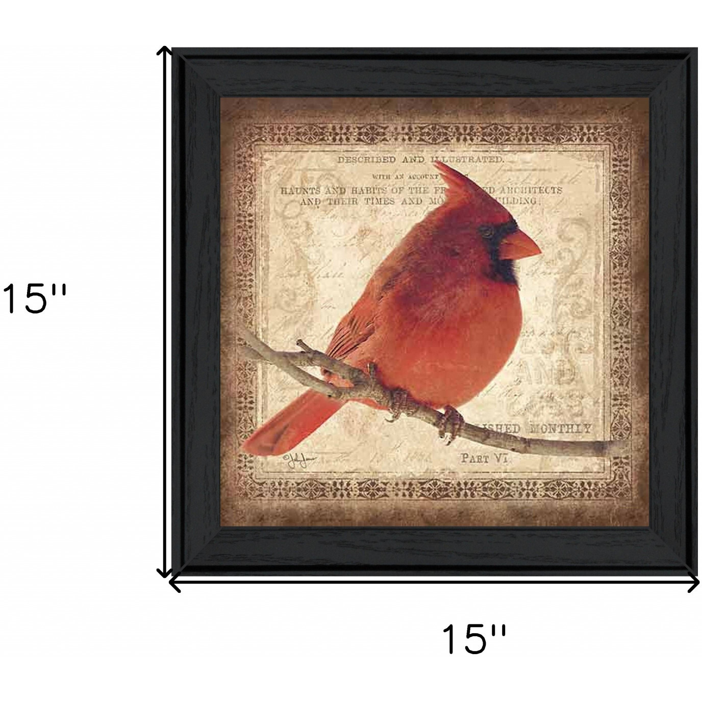 Male Cardinal 2 Black Framed Print Wall Art
