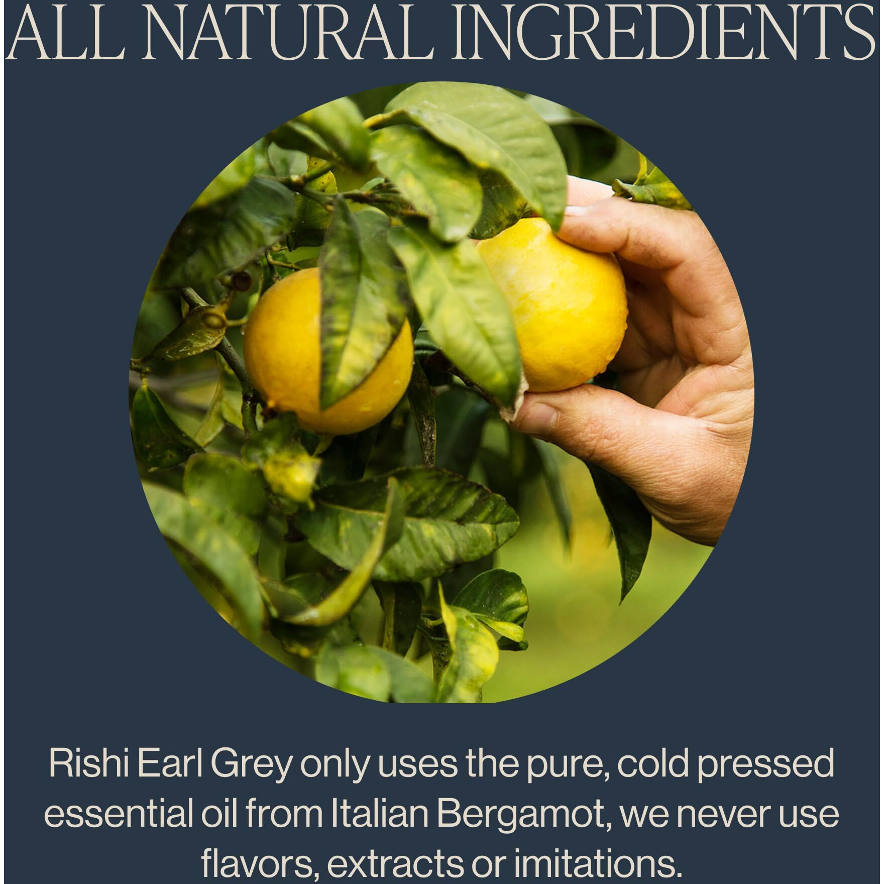 Rishi Organic Tea - Earl Grey - Case of 6 - 15 Bags(D0102HXP8RA.)