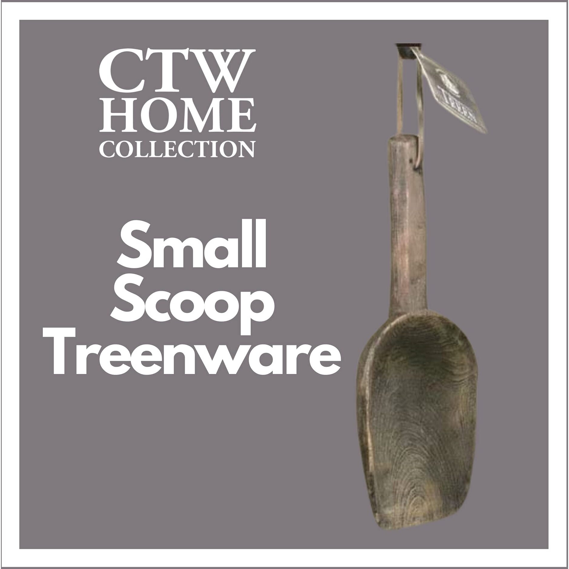 Small Scoop