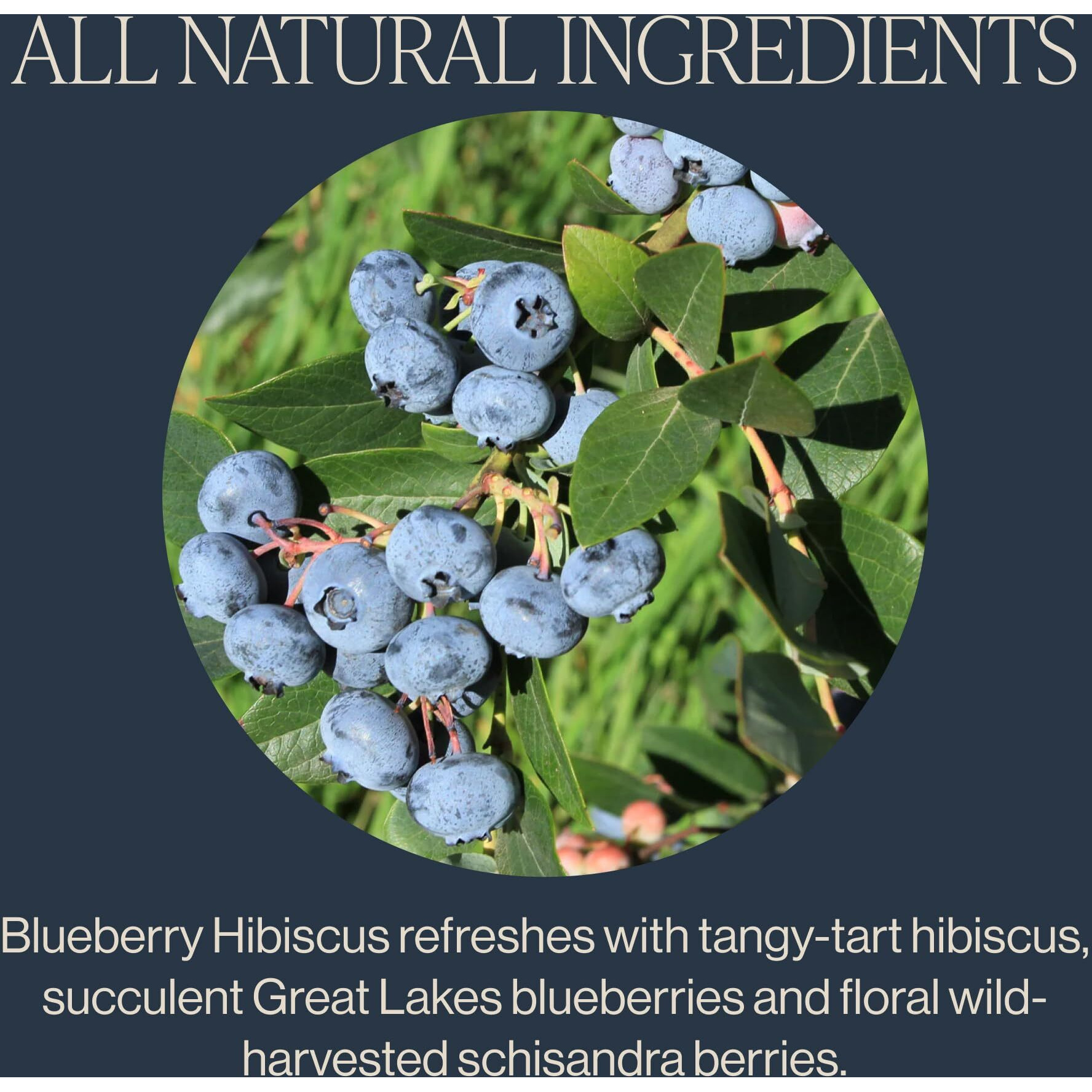 Rishi Organic Tea - Blueberry Hibiscus - Case of 6 - 15 Bags(D0102HXP8EG.)