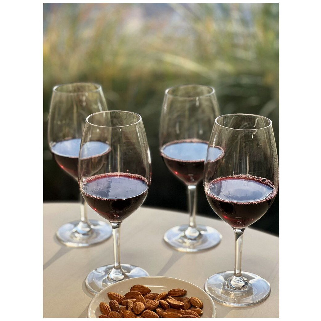 Designer Tritan clear Wine glasses Set of 4 (20oz), Premium Quality Unbreakable Stemmed Acrylic Wine glasses for All Purpose Red or White Wine(D0102H5LXB8)