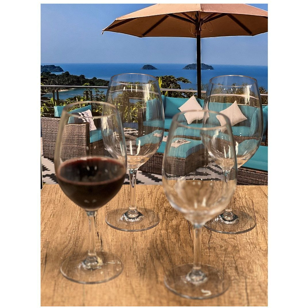 Designer Tritan clear Wine glasses Set of 4 (20oz), Premium Quality Unbreakable Stemmed Acrylic Wine glasses for All Purpose Red or White Wine(D0102H5LXB8)