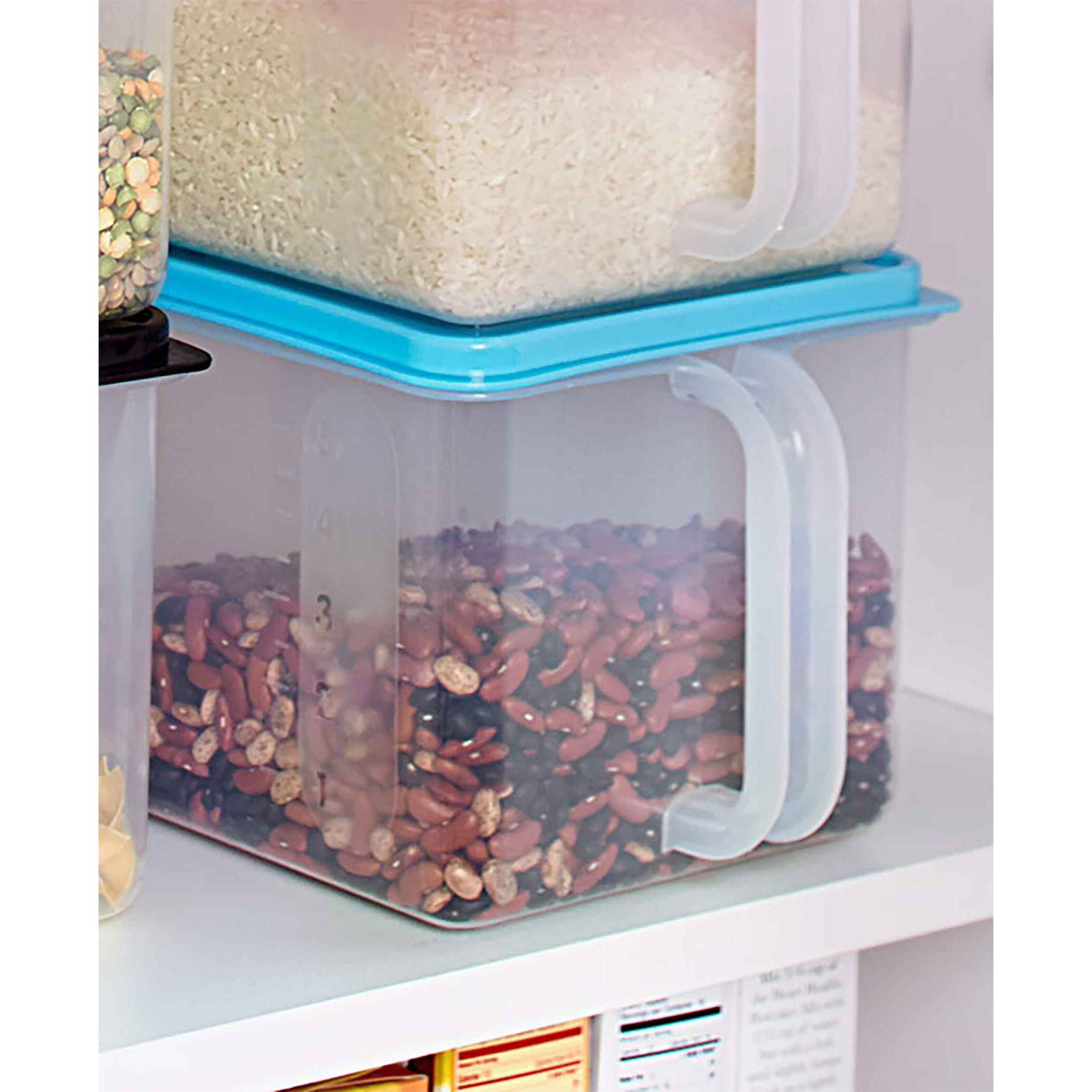 Clear Storage Containers with Handles - Blue