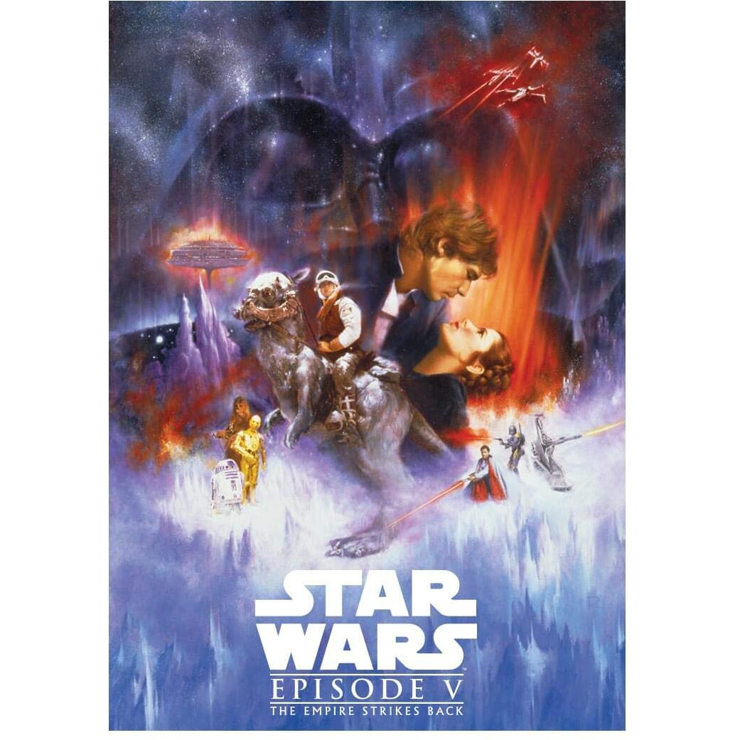 Star Wars The Empire Strikes Back 25 x 35 Inch Flat Magnet