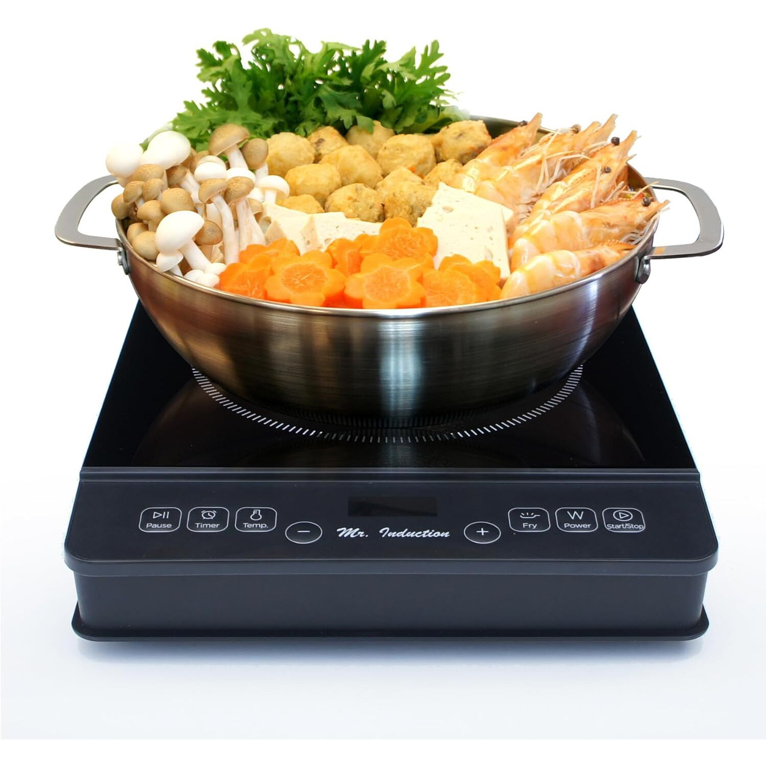 1800W Induction Cooktop + Stainless Steel Pot