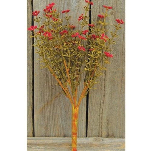 Red Fall Astilbe Bush, 10.5"